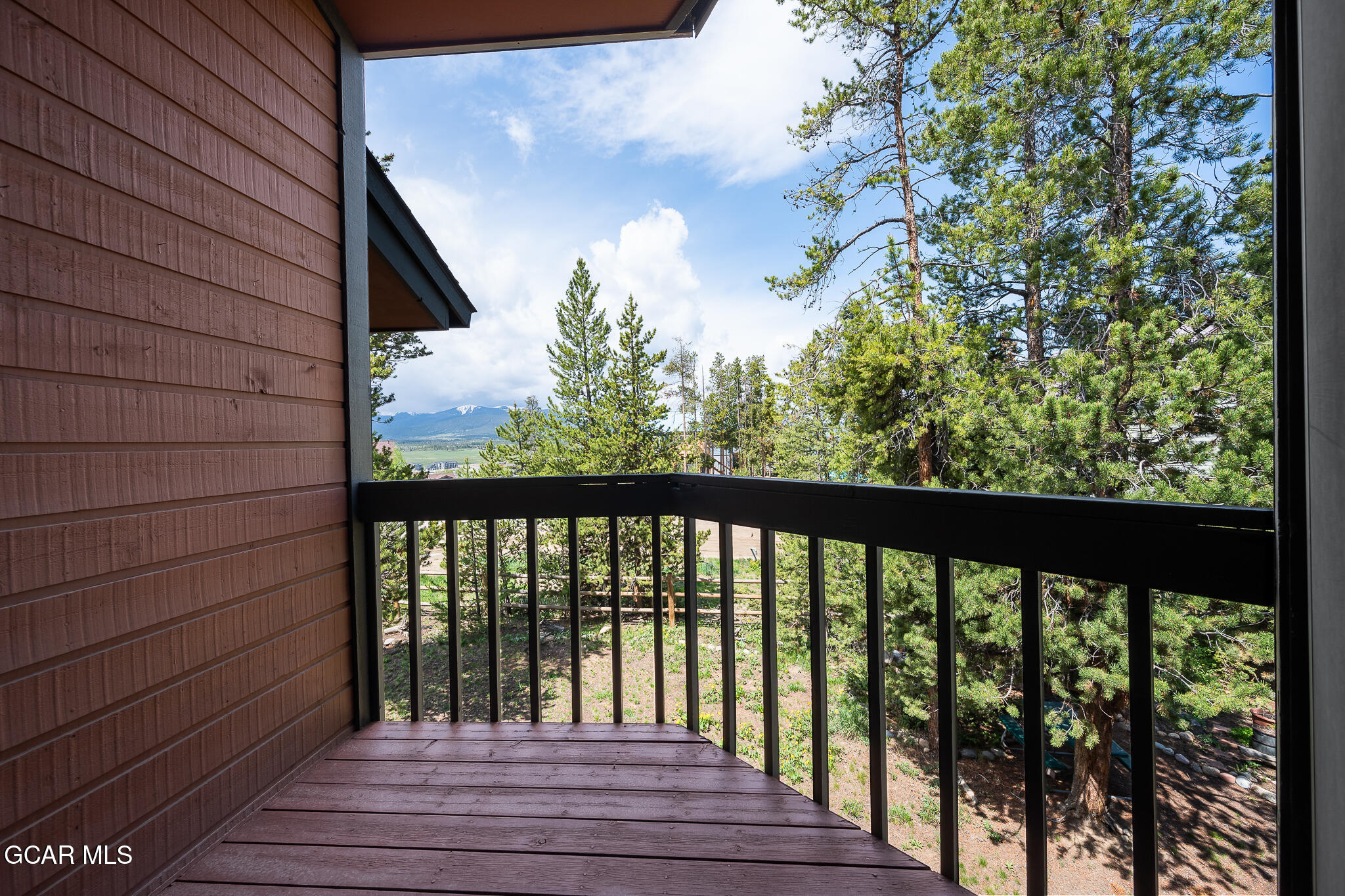 58 Cranmer Avenue Fraser CO 80442