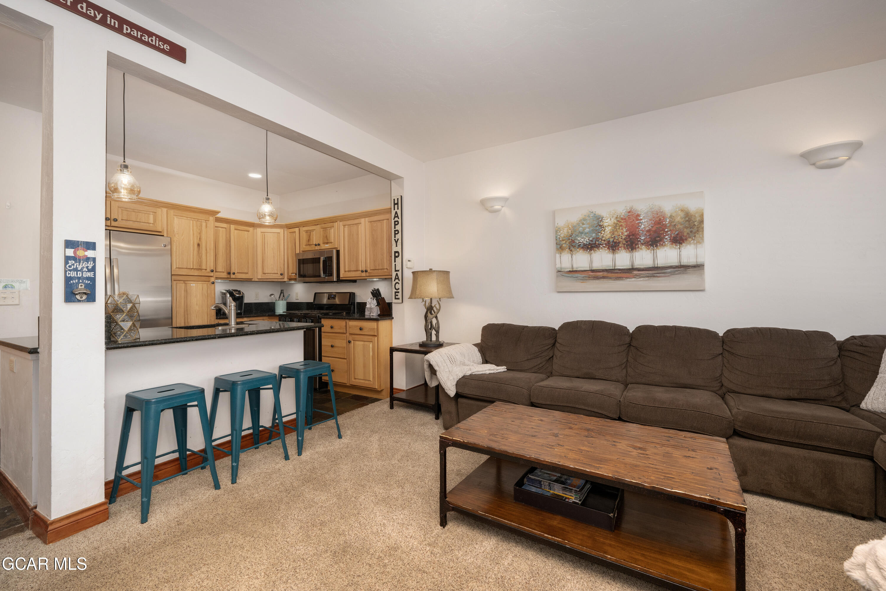 668 Telemark Court Winter Park CO 80482