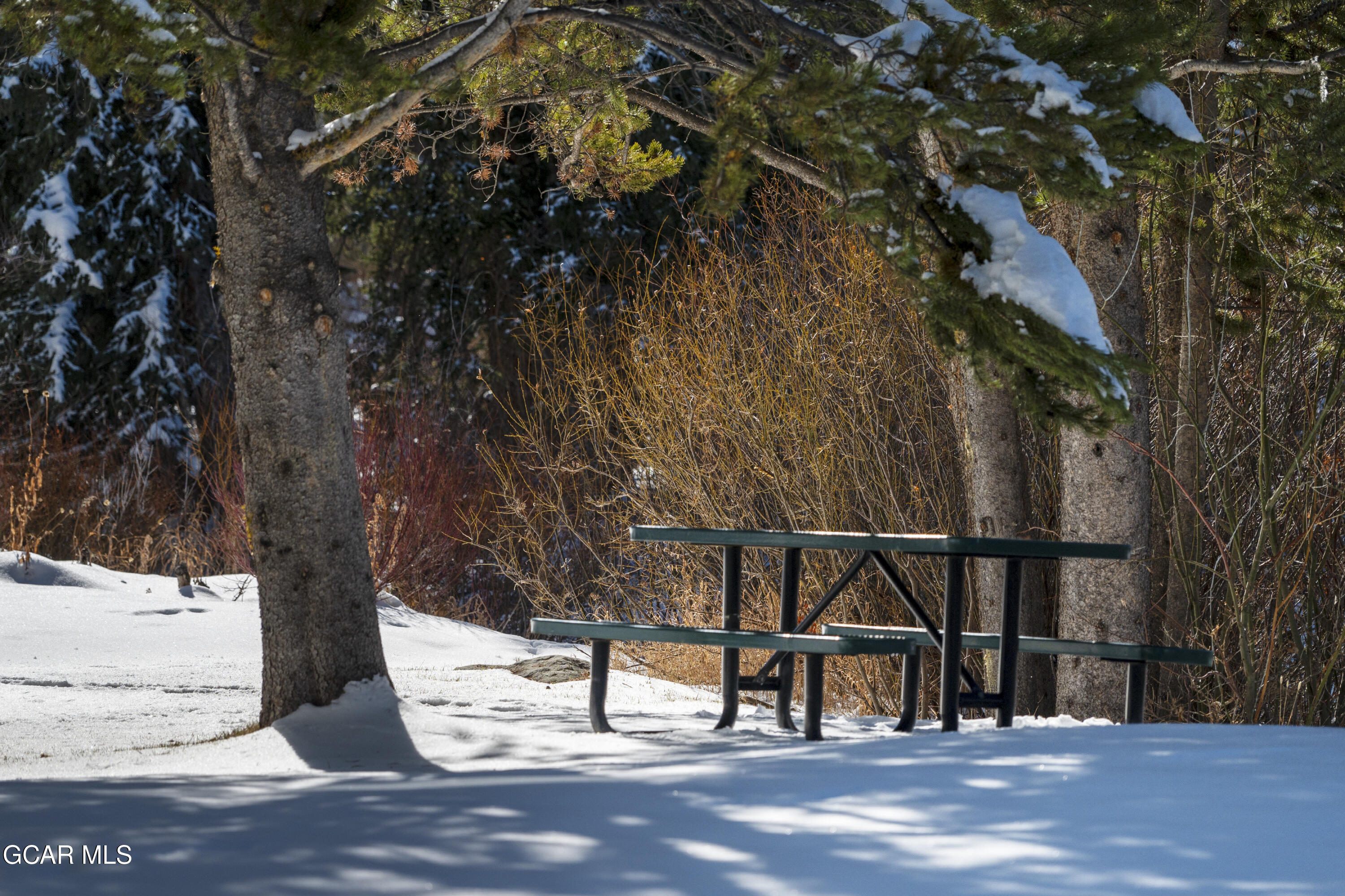 59 River Drive Winter Park CO 80482