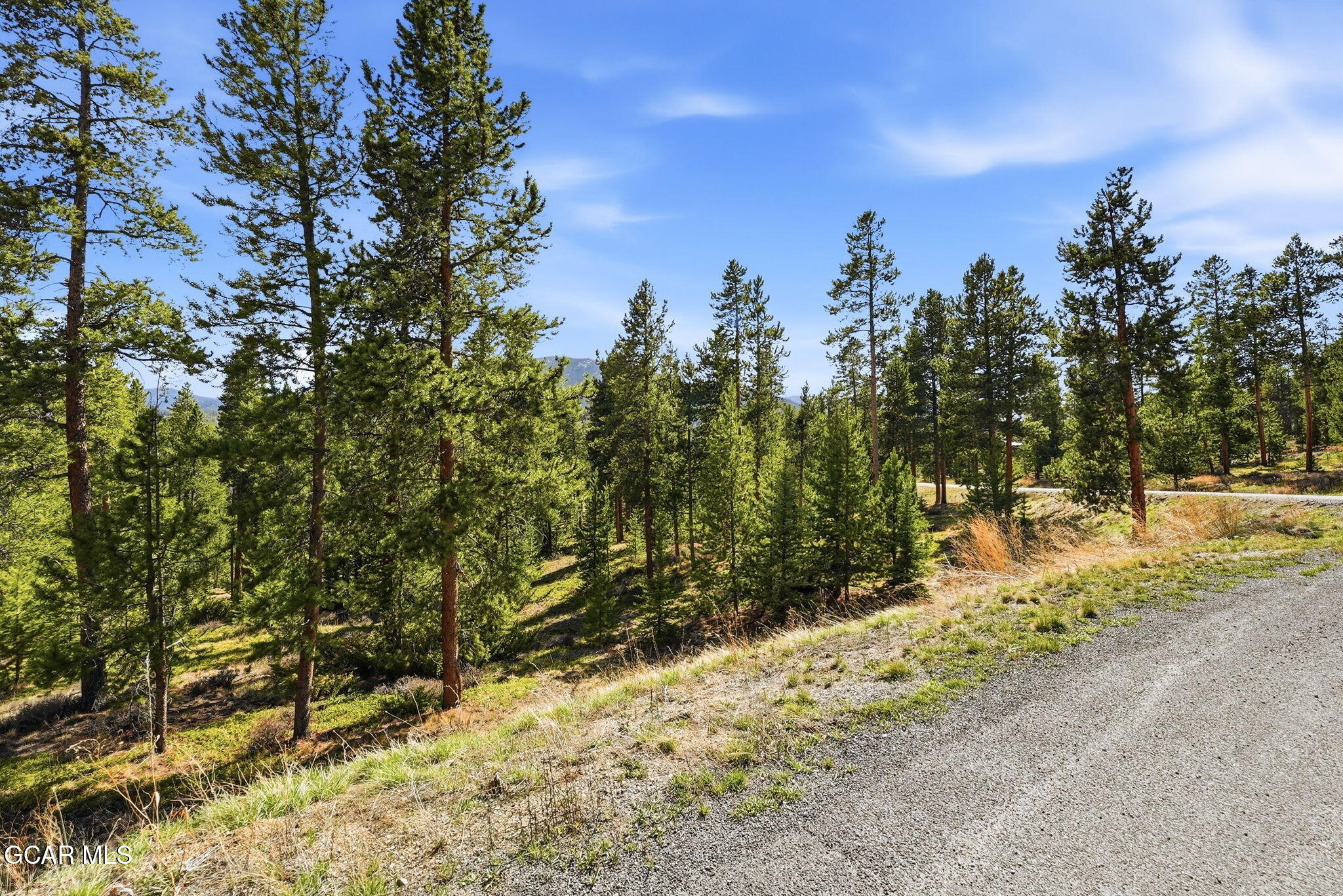 27 County Road 5113/purple Sage Tabernash CO 80478