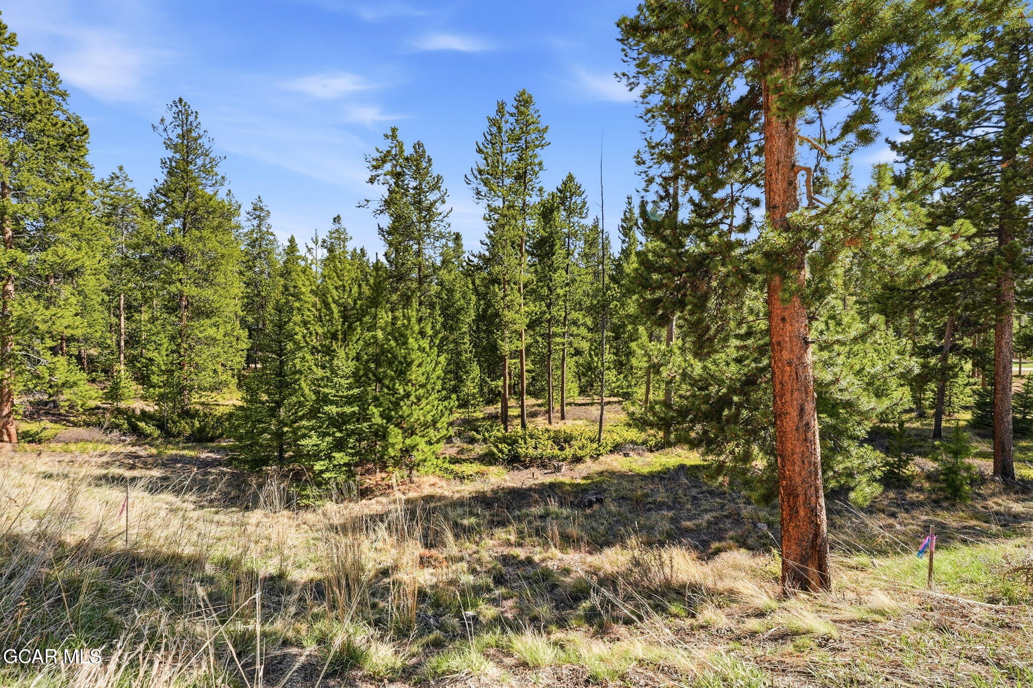 27 County Road 5113/purple Sage Tabernash CO 80478