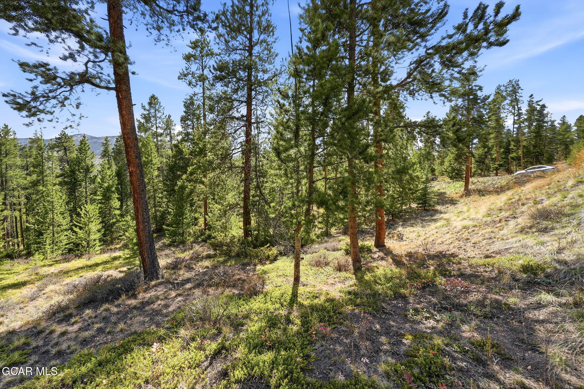 27 County Road 5113/purple Sage Tabernash CO 80478