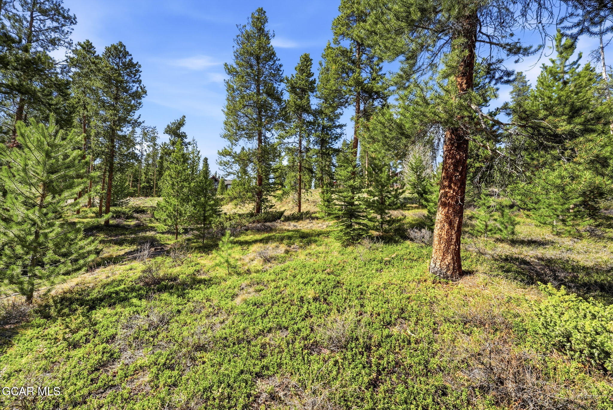 27 County Road 5113/purple Sage Tabernash CO 80478