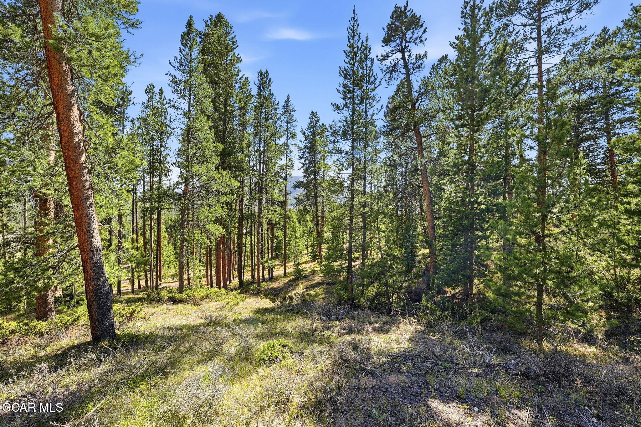27 County Road 5113/purple Sage Tabernash CO 80478
