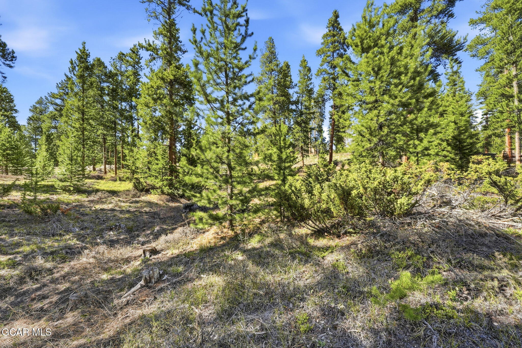 27 County Road 5113/purple Sage Tabernash CO 80478
