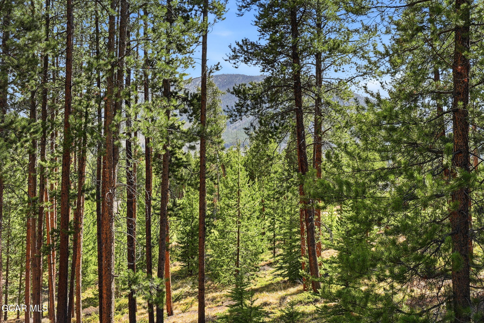 27 County Road 5113/purple Sage Tabernash CO 80478