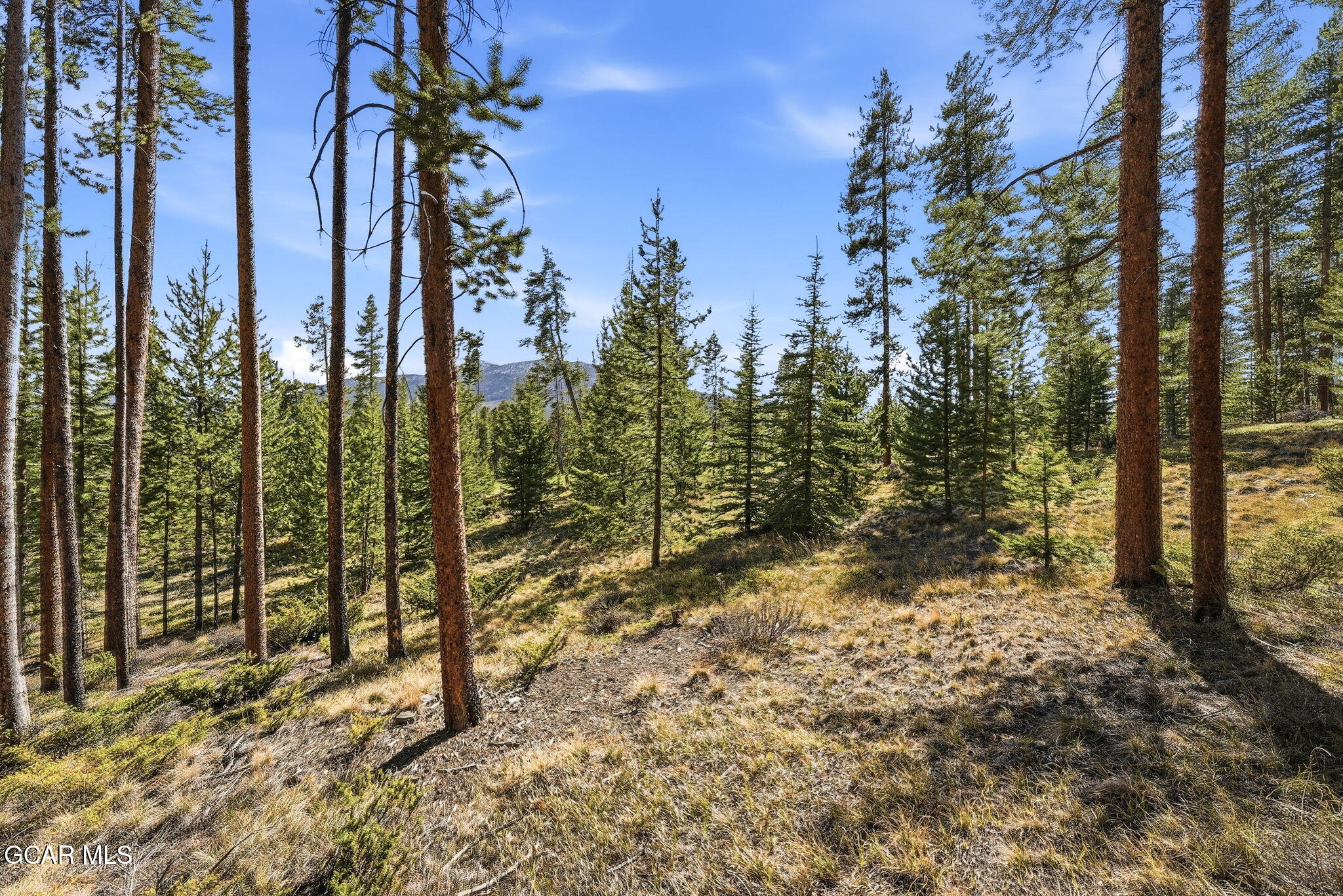 27 County Road 5113/purple Sage Tabernash CO 80478