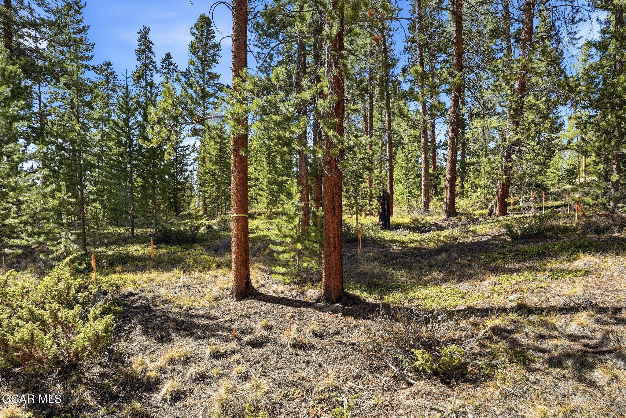 27 County Road 5113/purple Sage Tabernash CO 80478