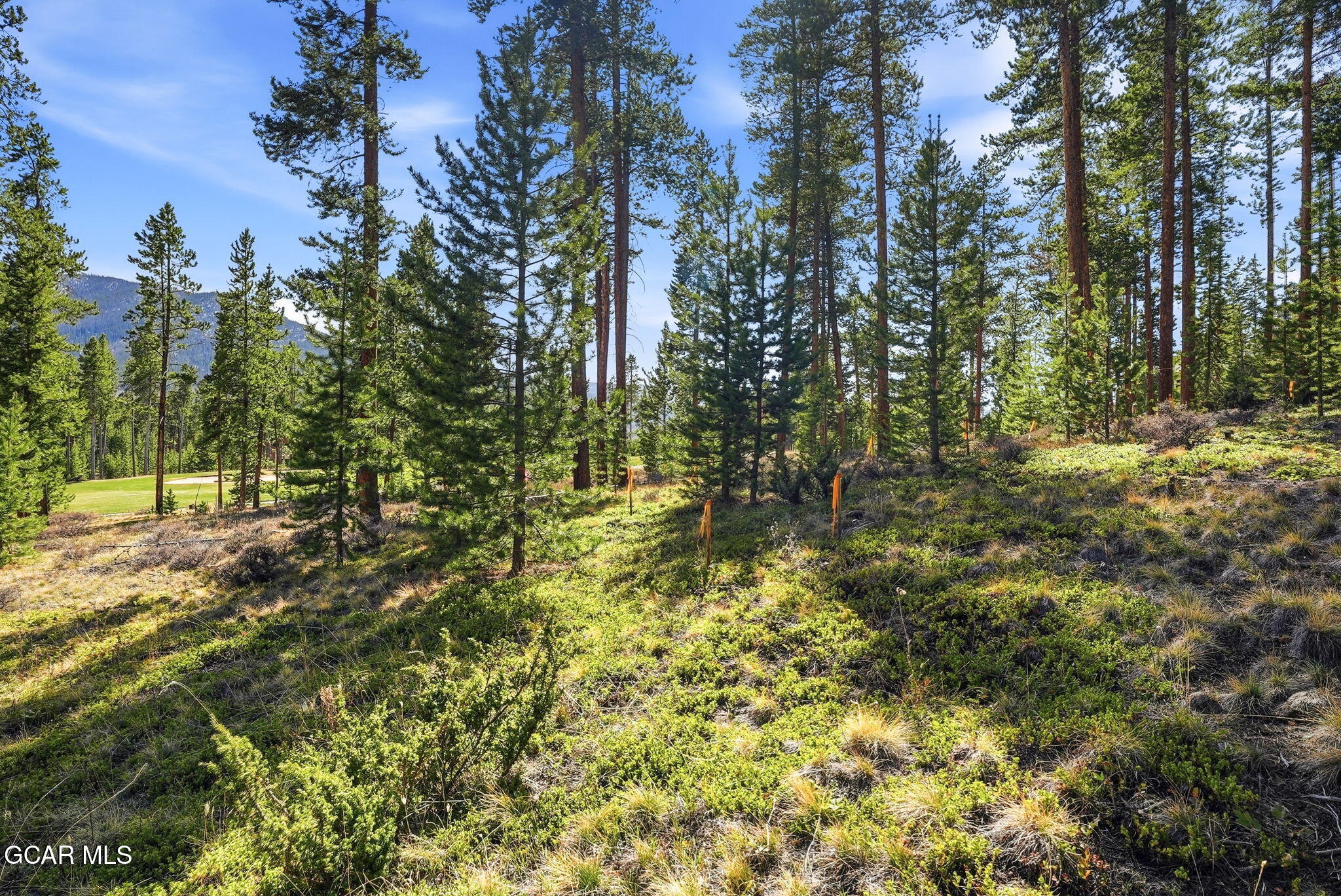 27 County Road 5113/purple Sage Tabernash CO 80478