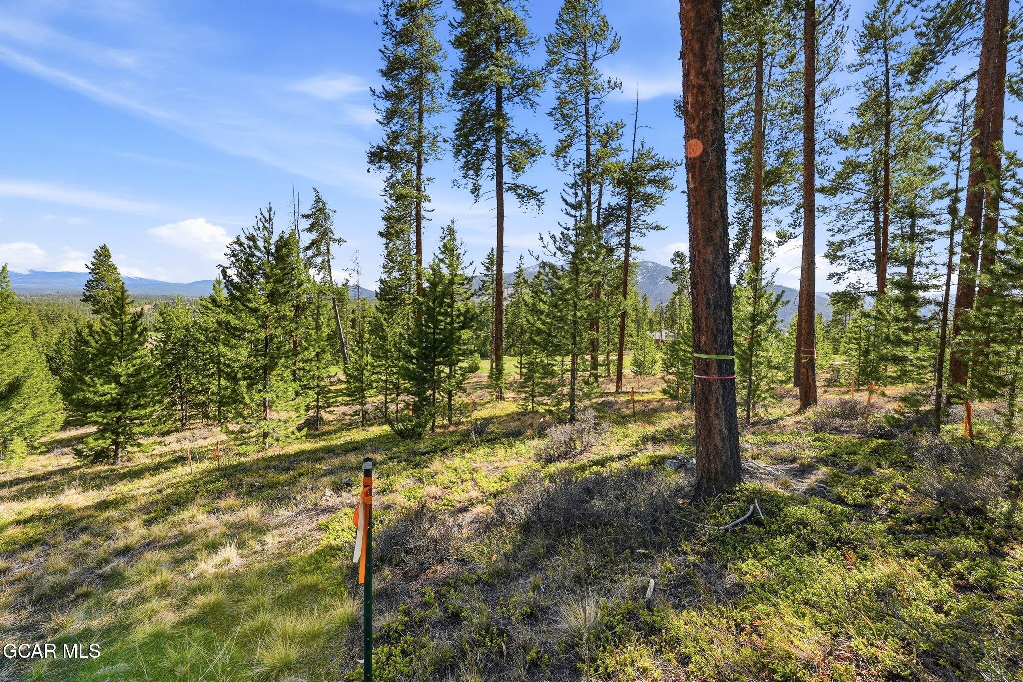 27 County Road 5113/purple Sage Tabernash CO 80478