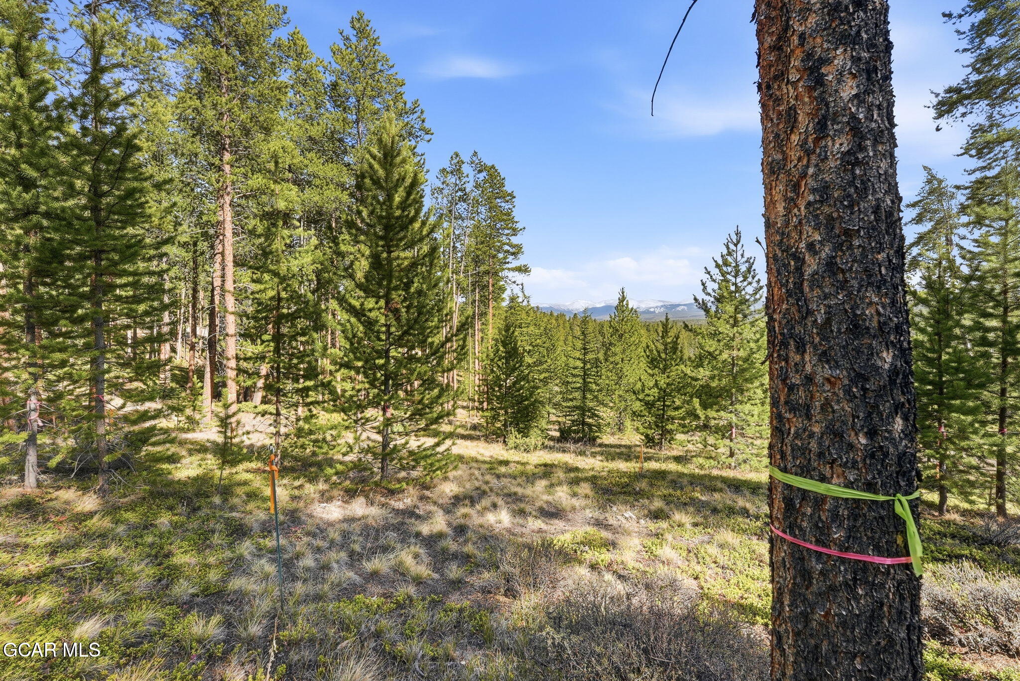 27 County Road 5113/purple Sage Tabernash CO 80478