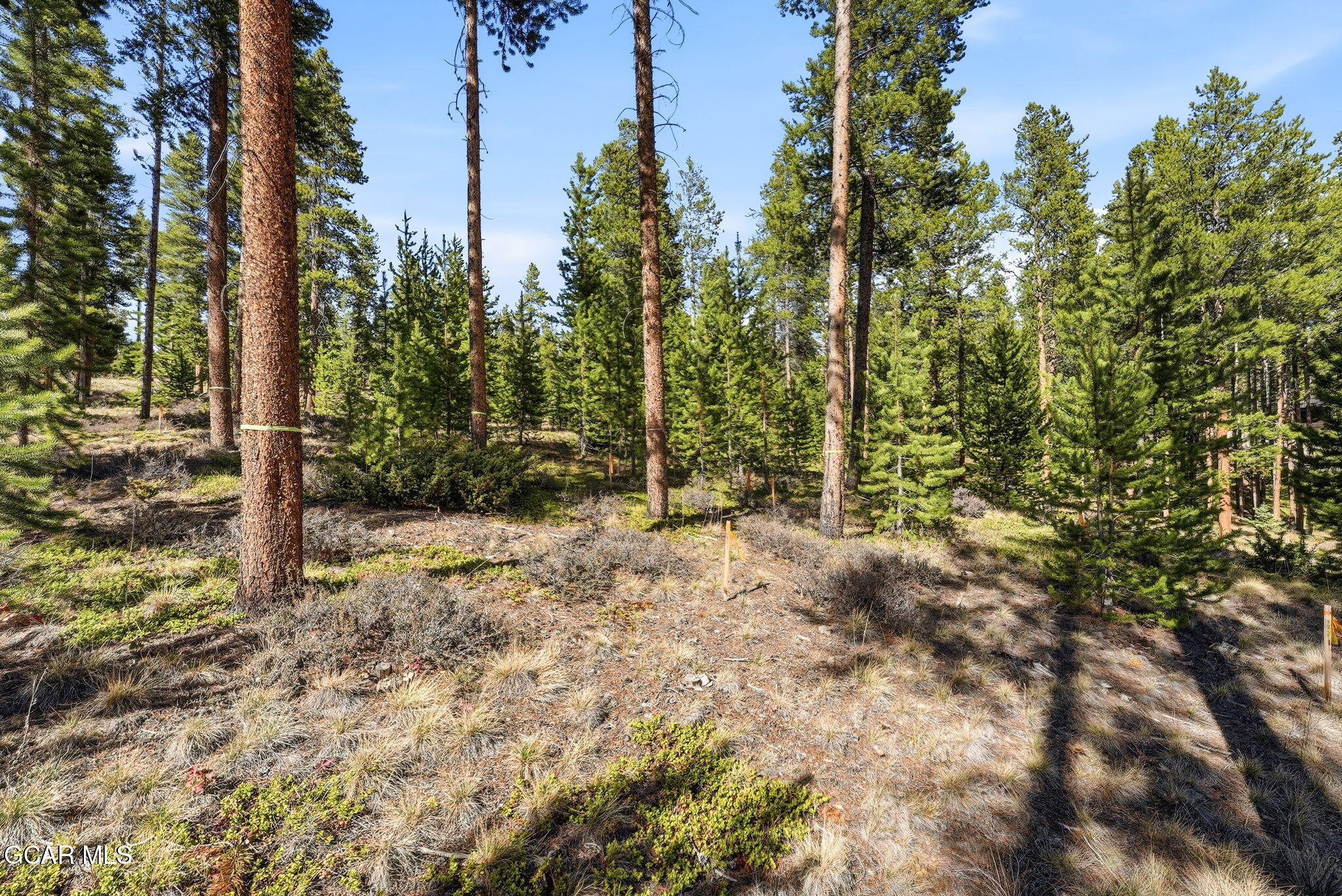27 County Road 5113/purple Sage Tabernash CO 80478