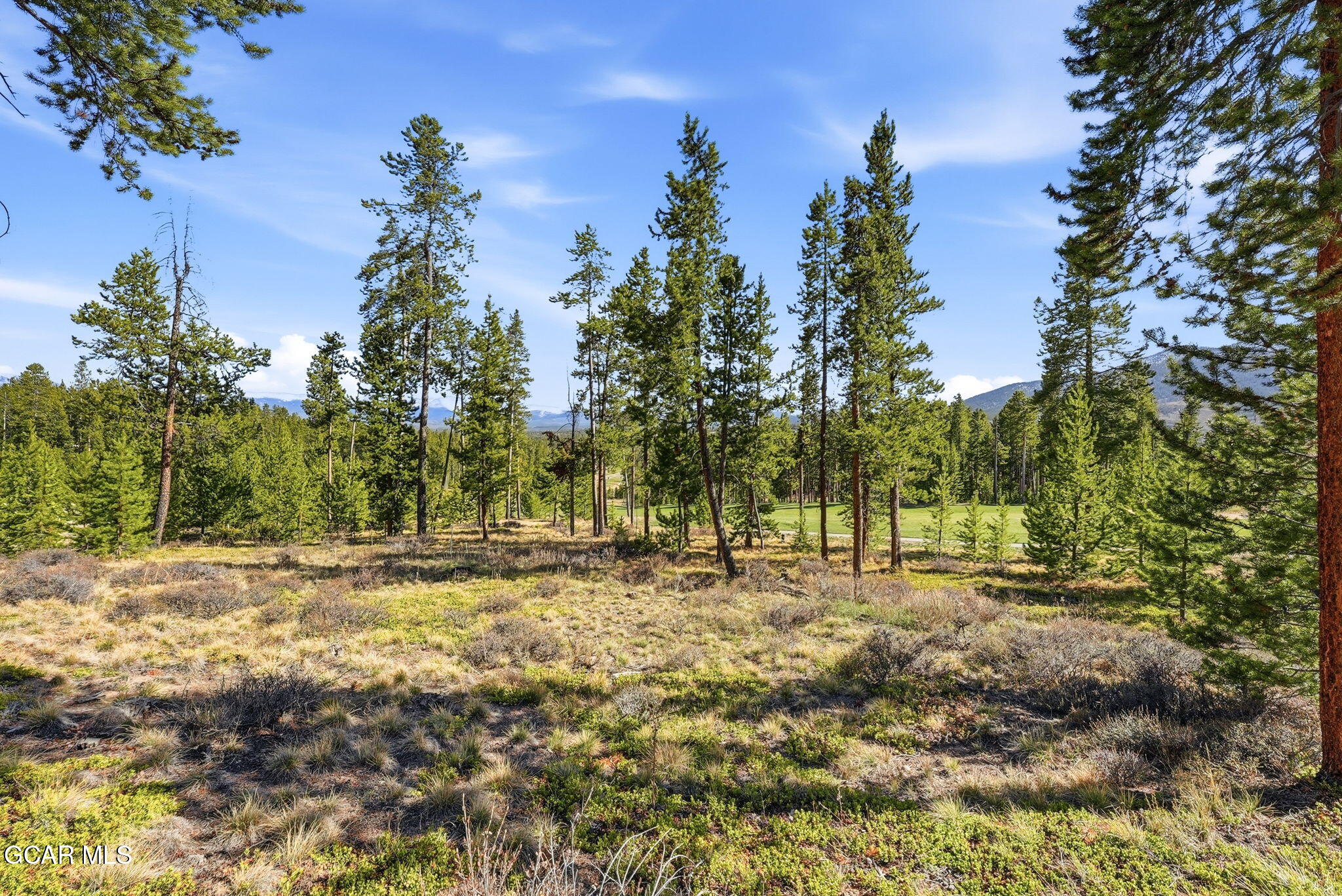 27 County Road 5113/purple Sage Tabernash CO 80478
