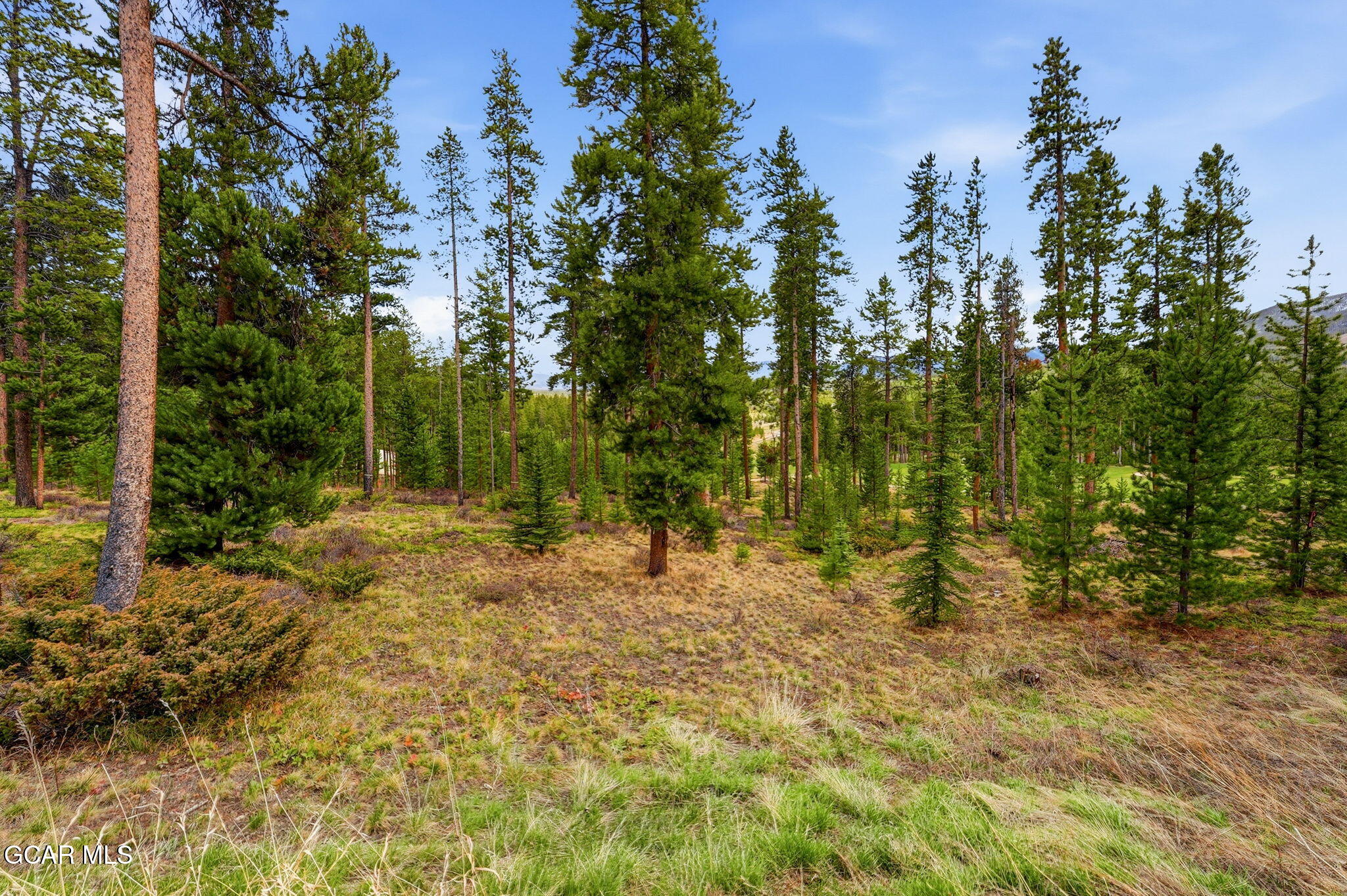 27 County Road 5113/purple Sage Tabernash CO 80478