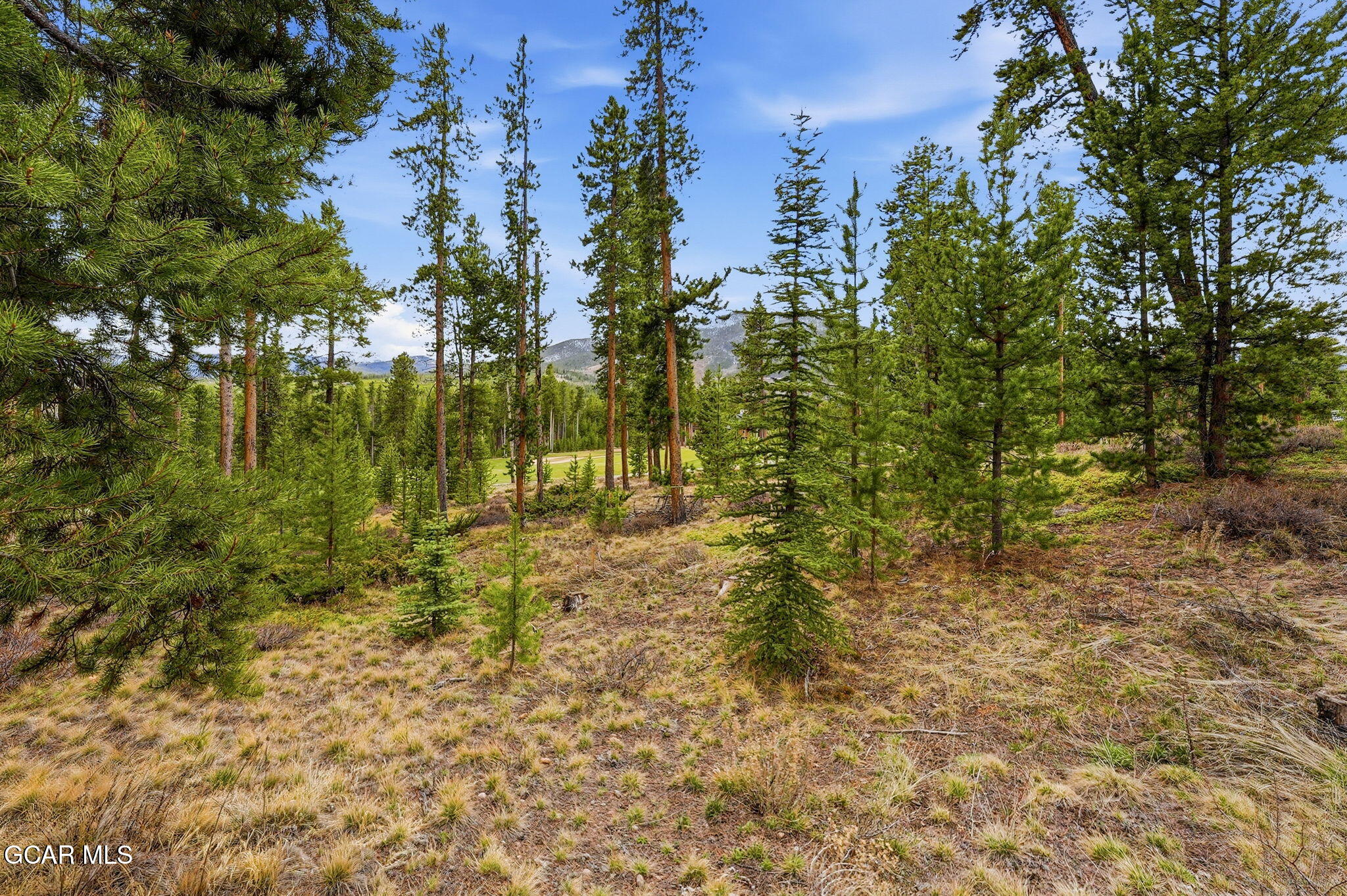 27 County Road 5113/purple Sage Tabernash CO 80478