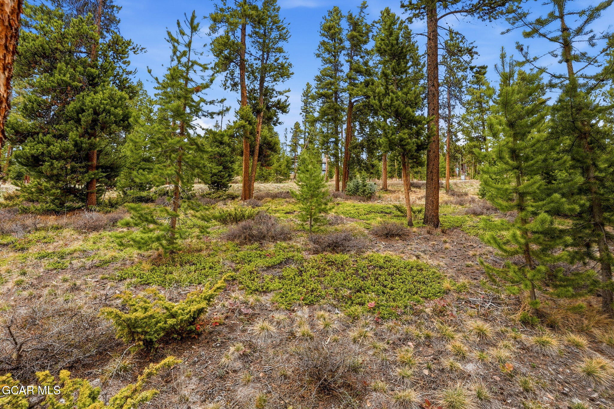 27 County Road 5113/purple Sage Tabernash CO 80478