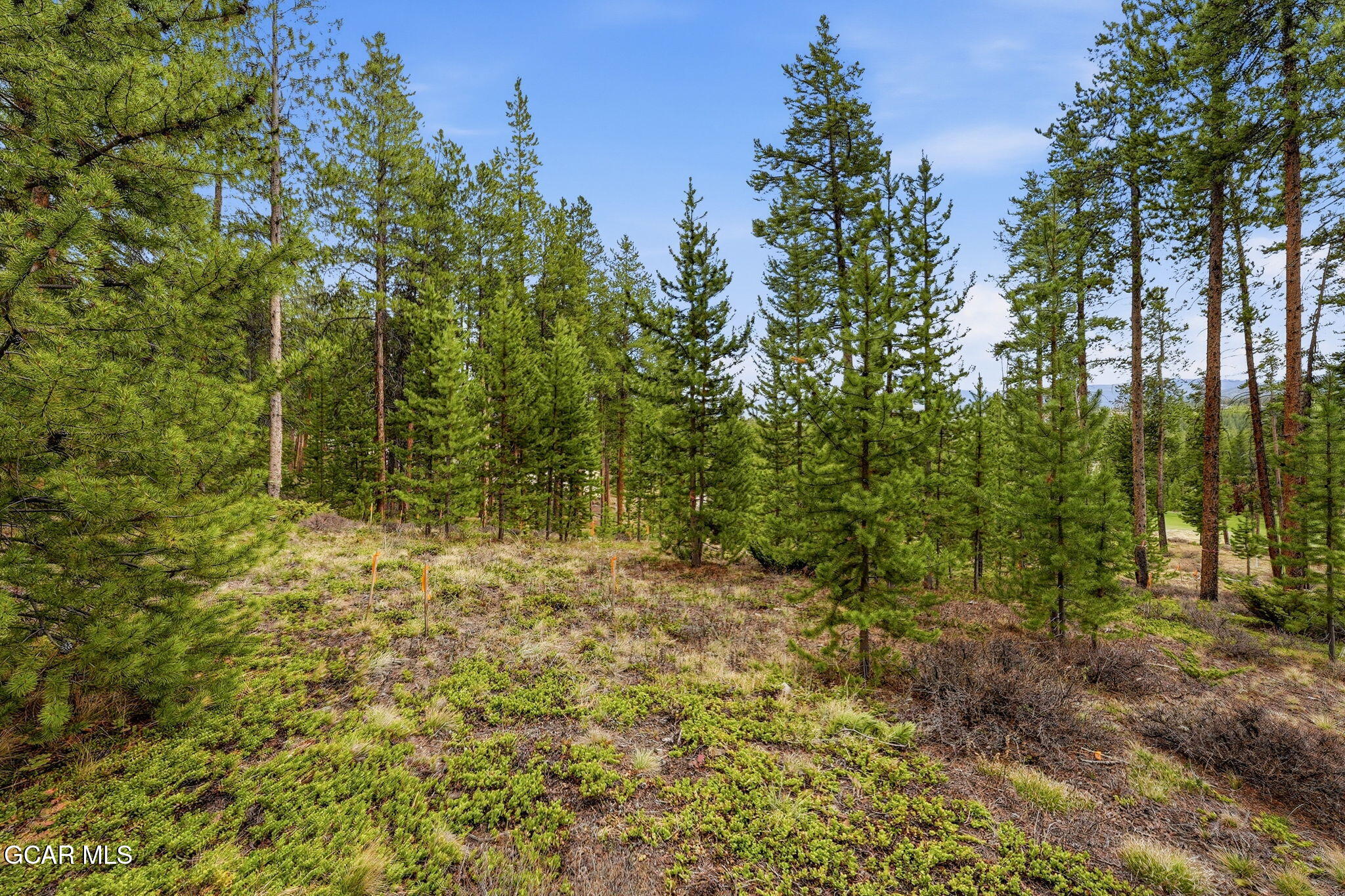 27 County Road 5113/purple Sage Tabernash CO 80478