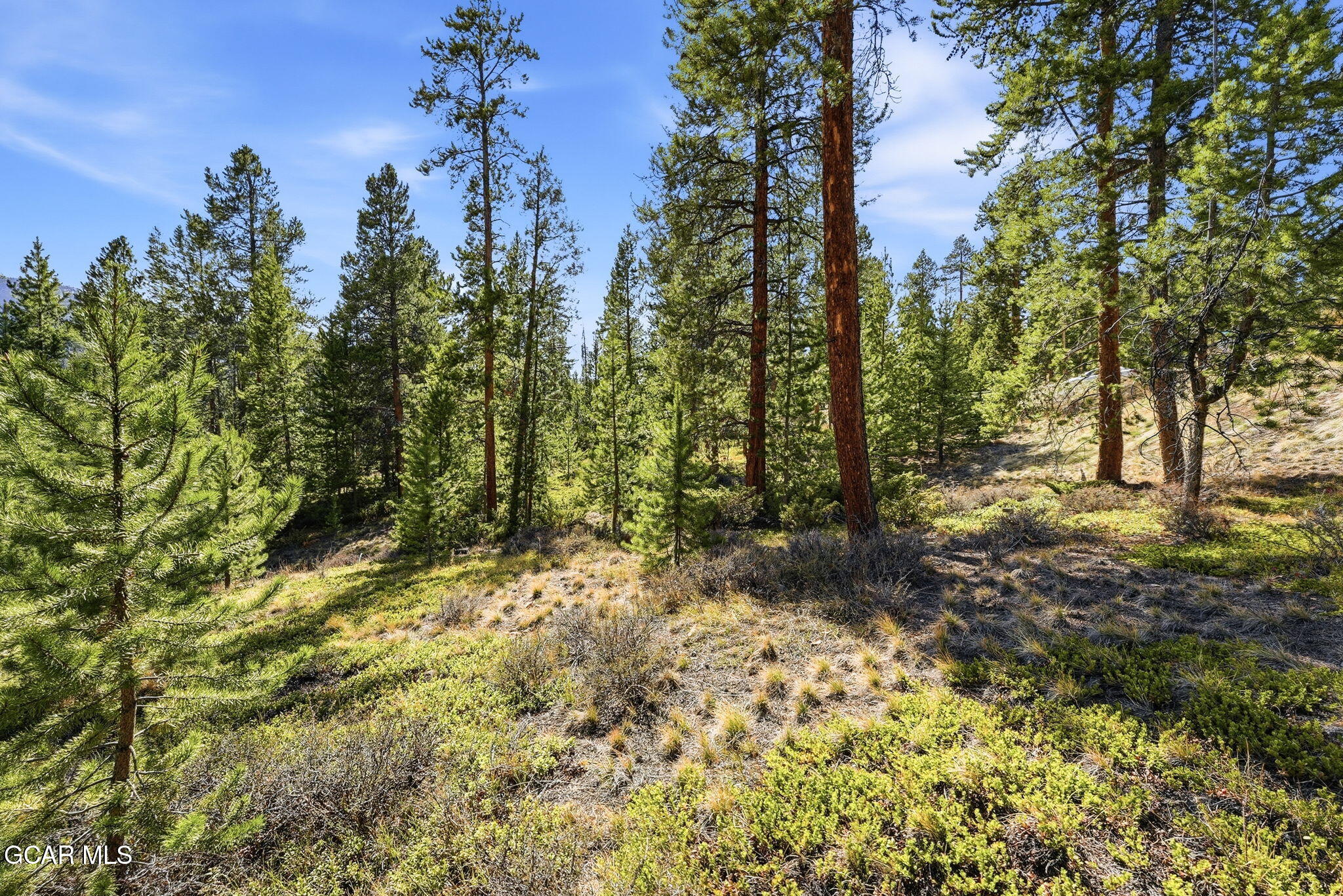 27 County Road 5113/purple Sage Tabernash CO 80478
