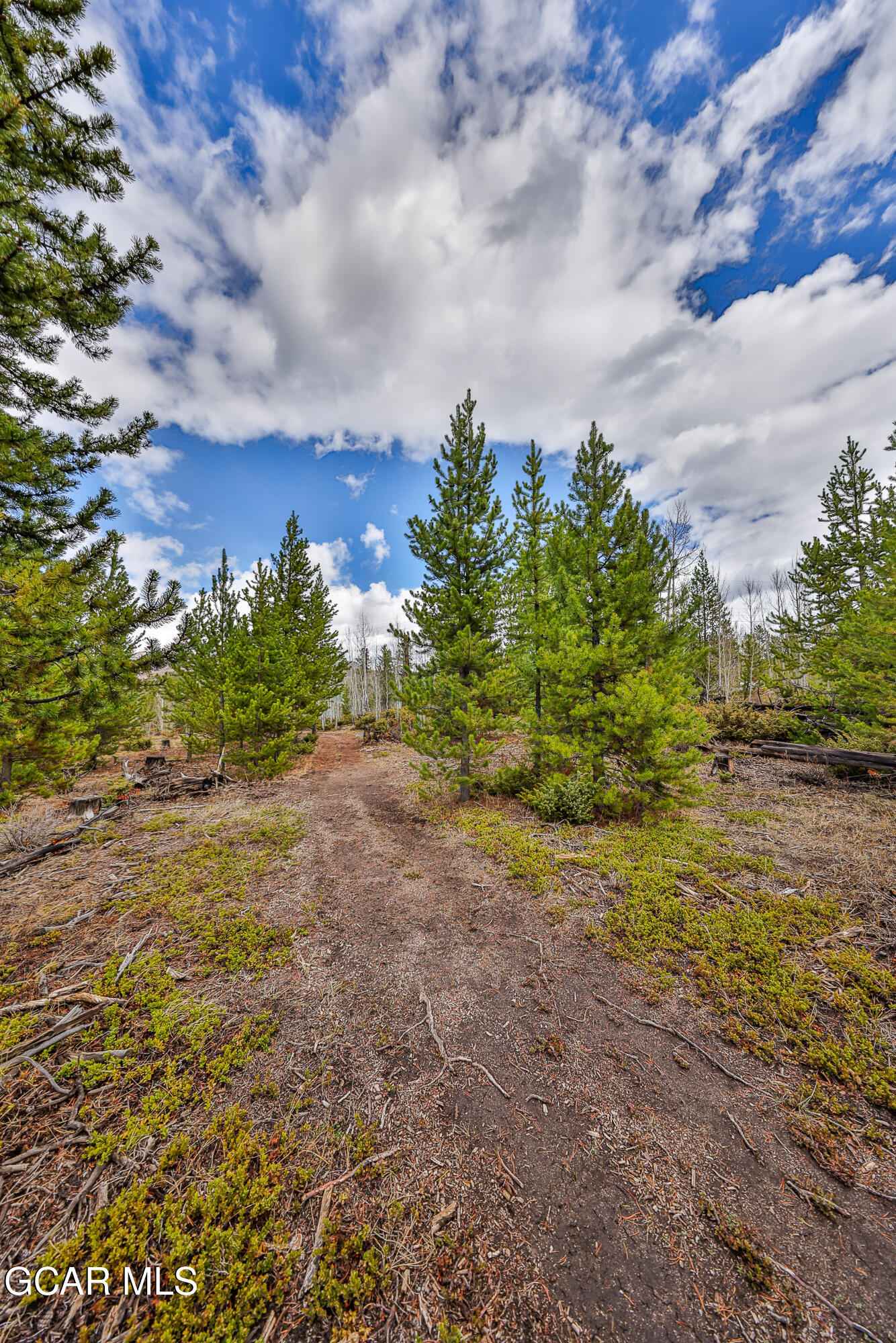 52 GCR 4482 Grand Lake CO 80447