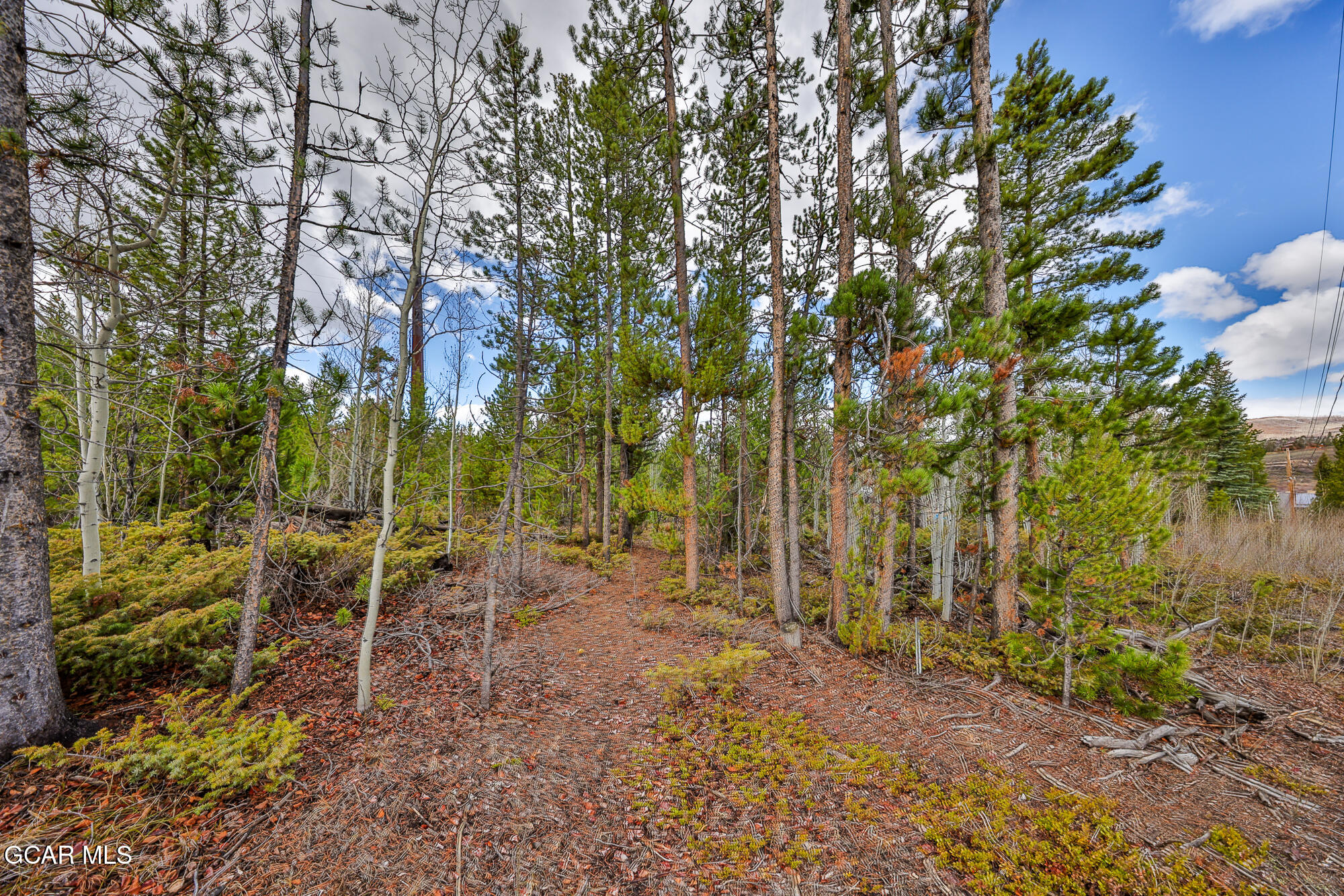 52 GCR 4482 Grand Lake CO 80447