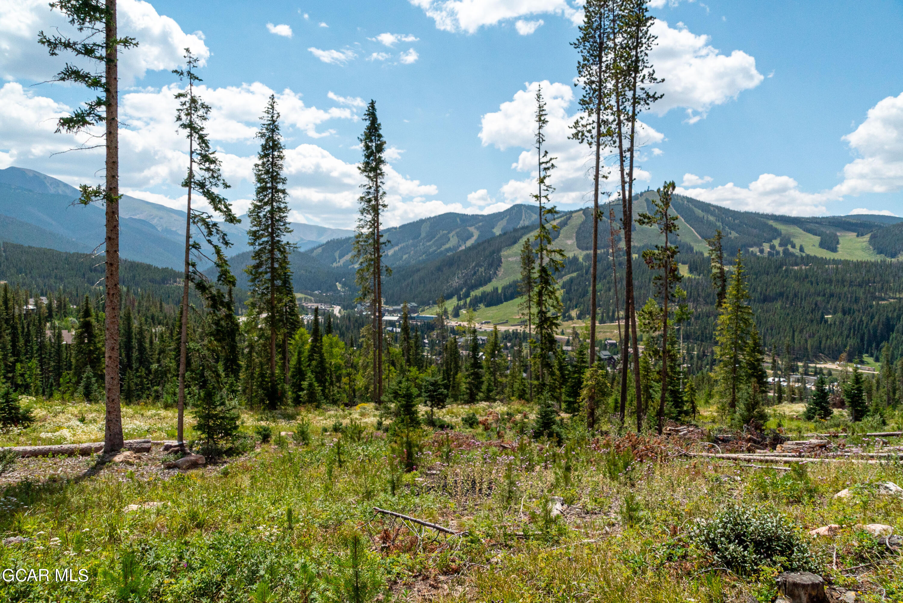 54 Cub Creek Way, Lot 3 Winter Park CO 80482