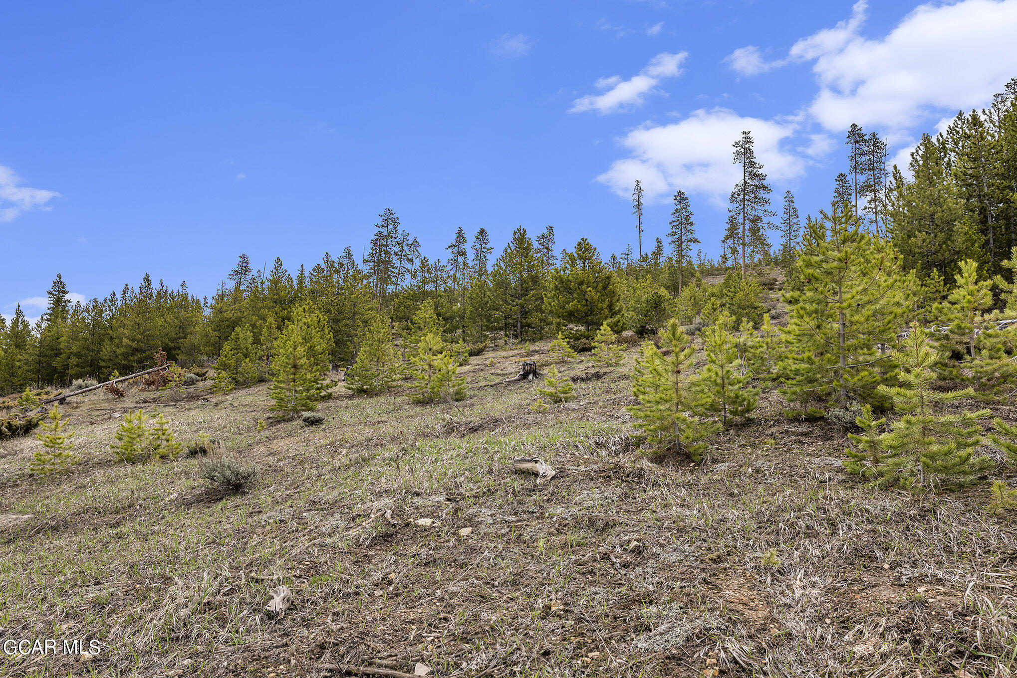 650 Shoshoni Lane Granby CO 80446