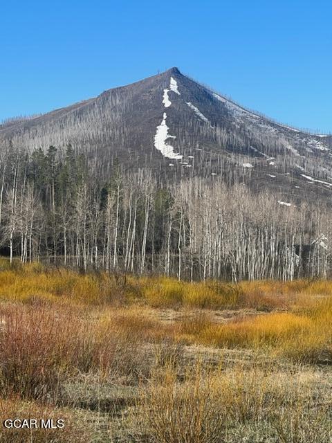 256 GCR 413 Granby CO 80446