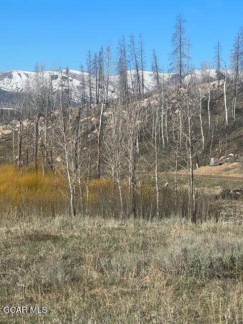 256 GCR 413 Granby CO 80446