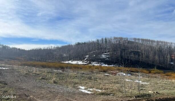 256 GCR 413 Granby CO 80446