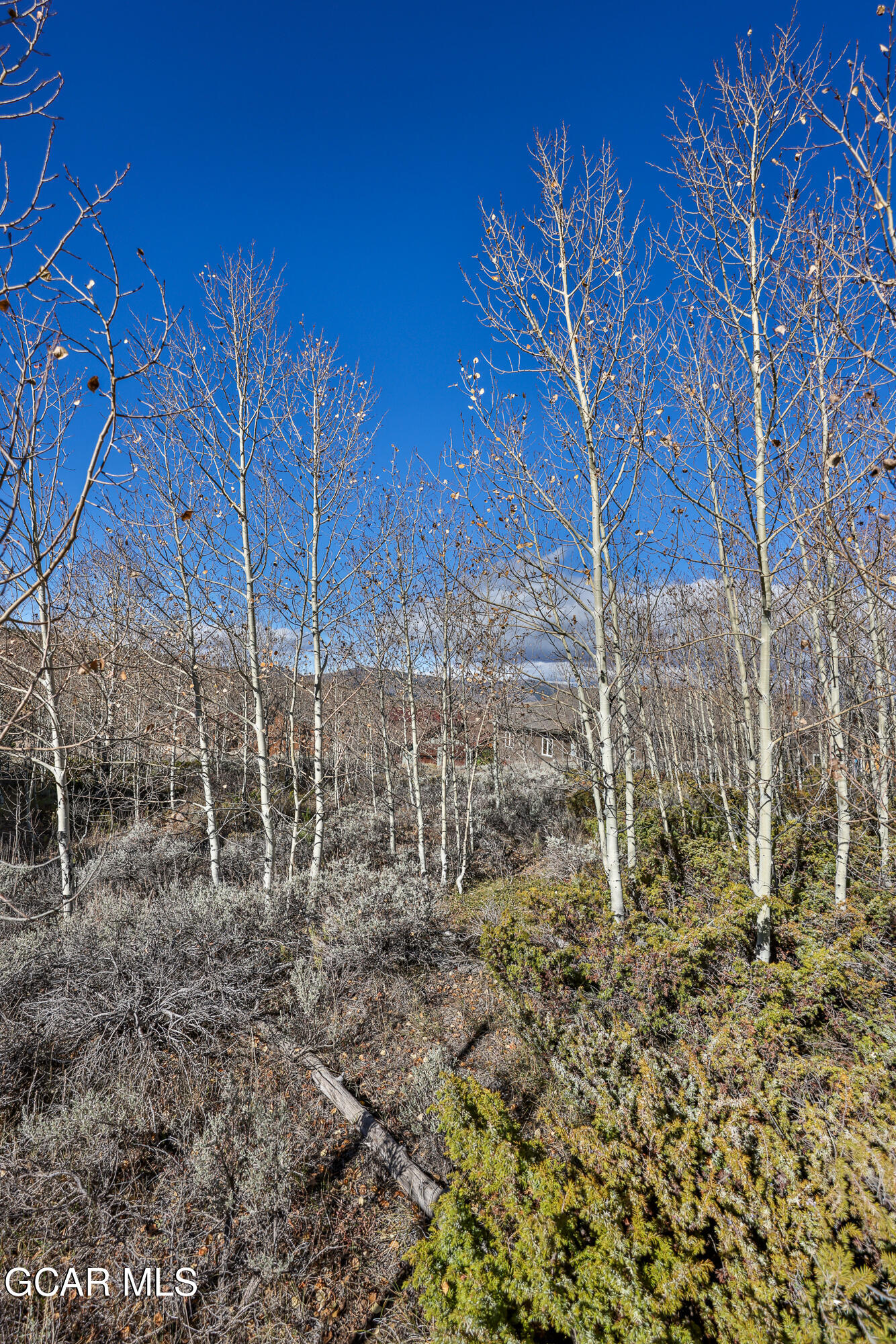 260 Upper Ranch View Road Granby CO 80446
