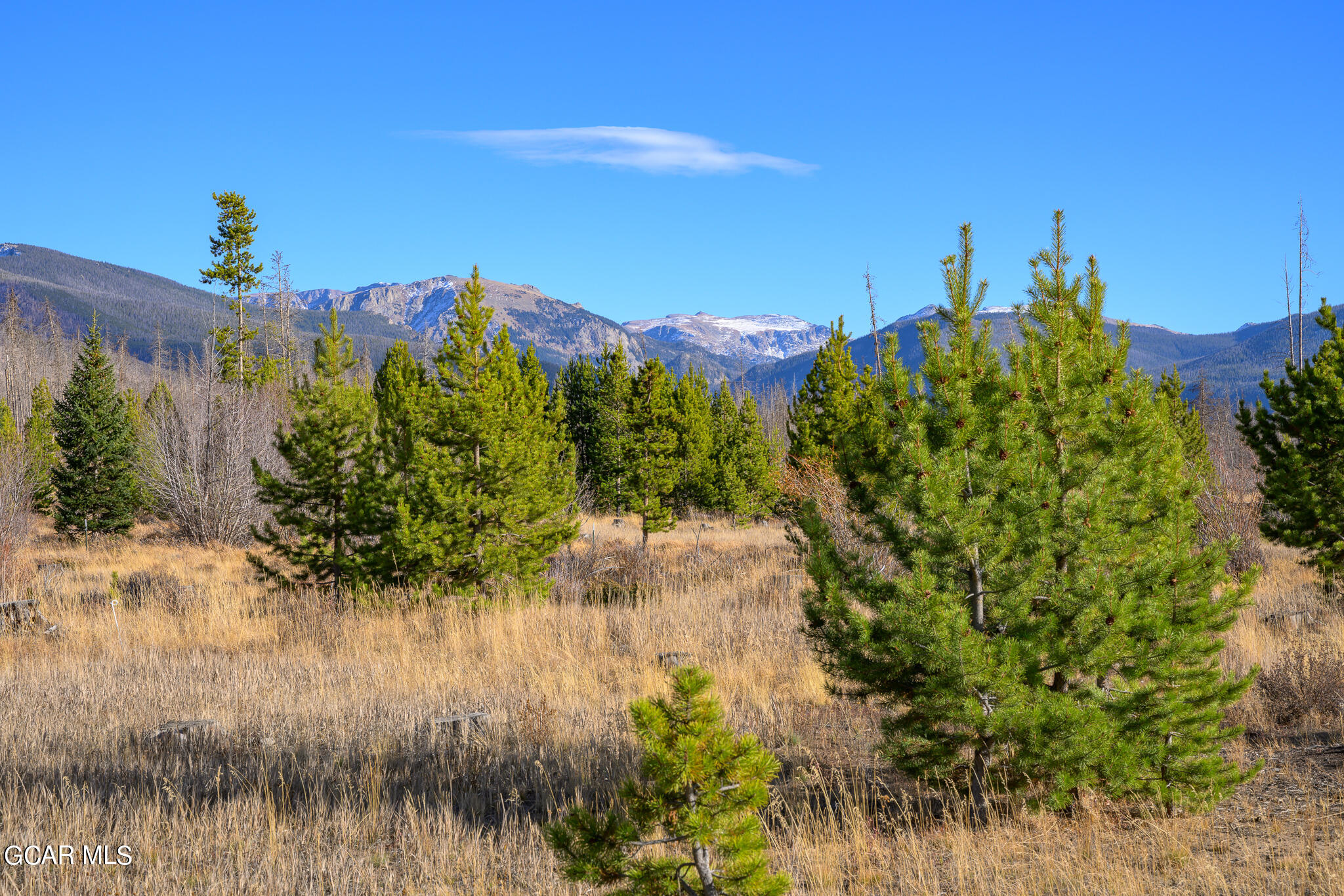 1560 GCR 491 Grand Lake CO 80447