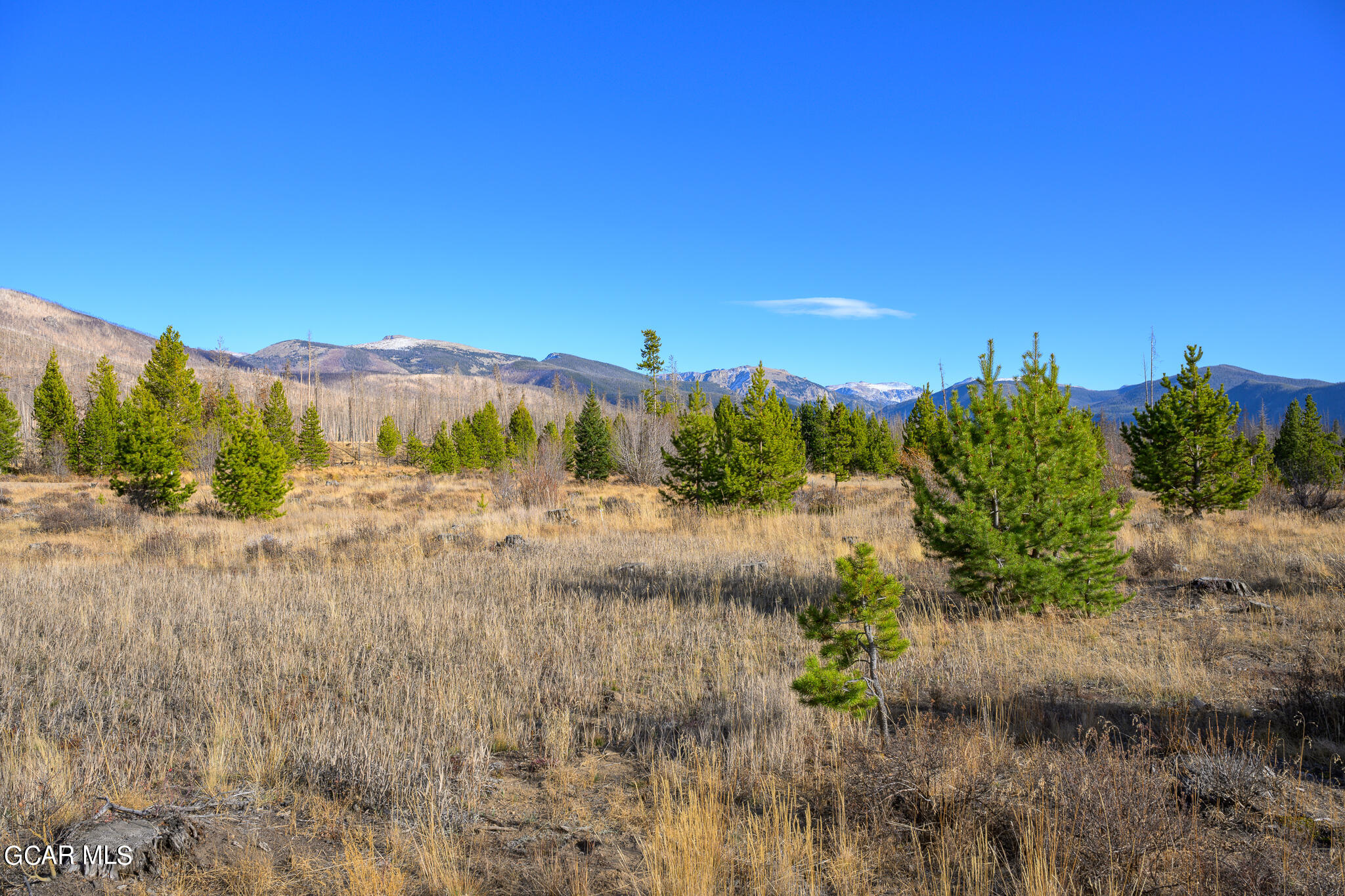 1560 GCR 491 Grand Lake CO 80447