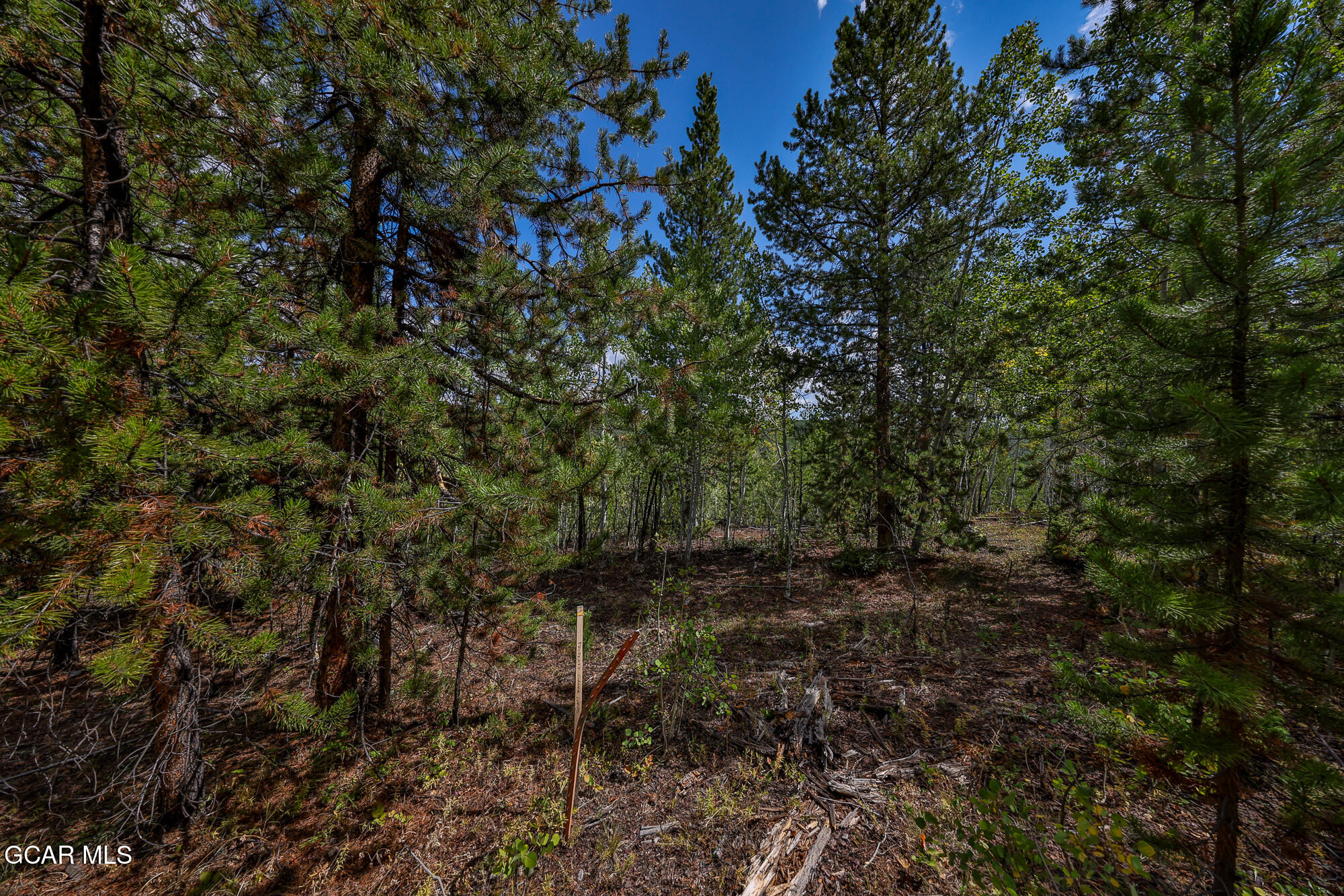 266 GCR 6234c Granby CO 80446