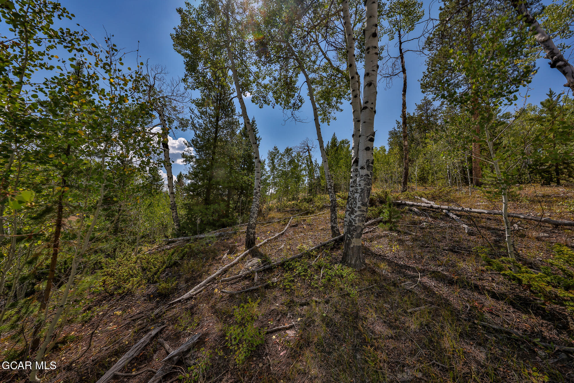 266 GCR 6234c Granby CO 80446