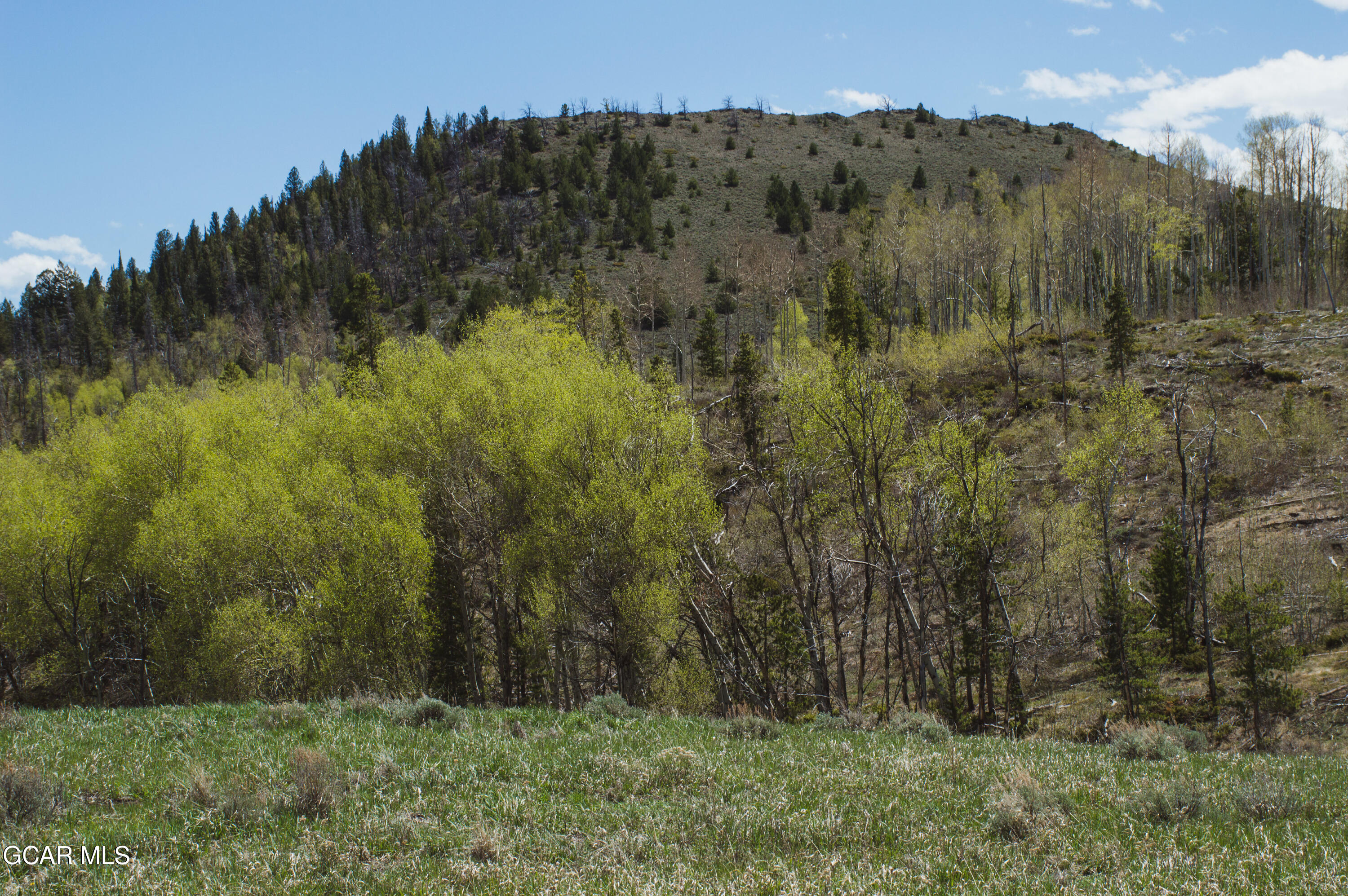 4848 GCR 40 Granby CO 80446