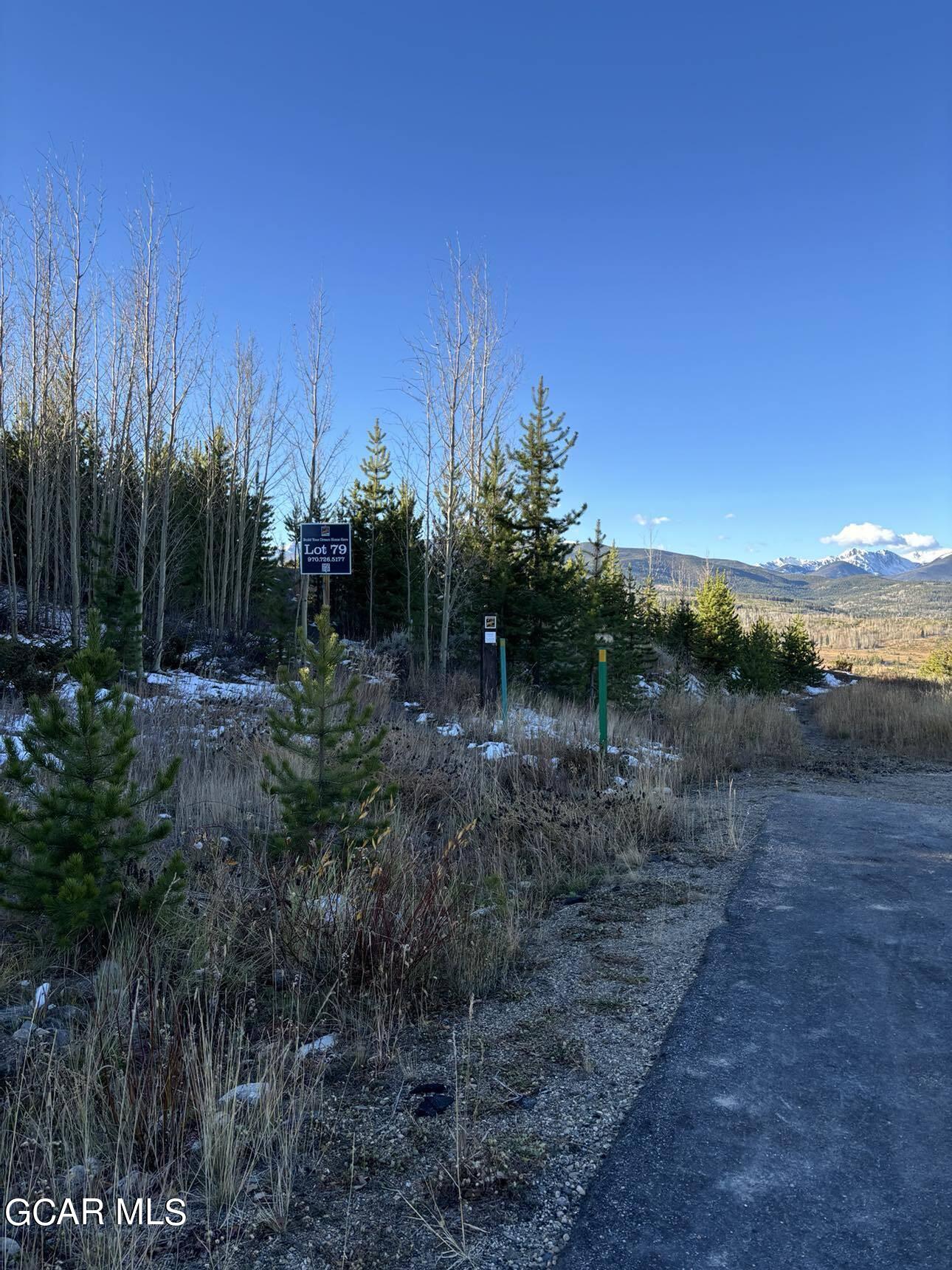 313 Bridger Trace Fraser CO 80442