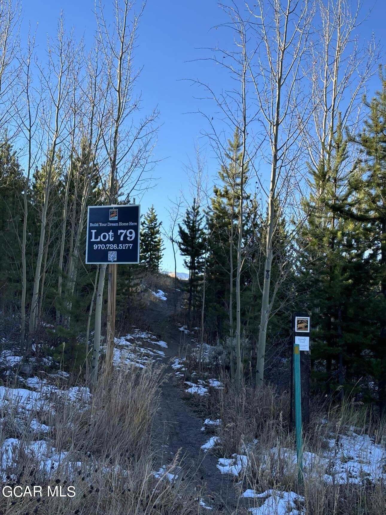 313 Bridger Trace Fraser CO 80442