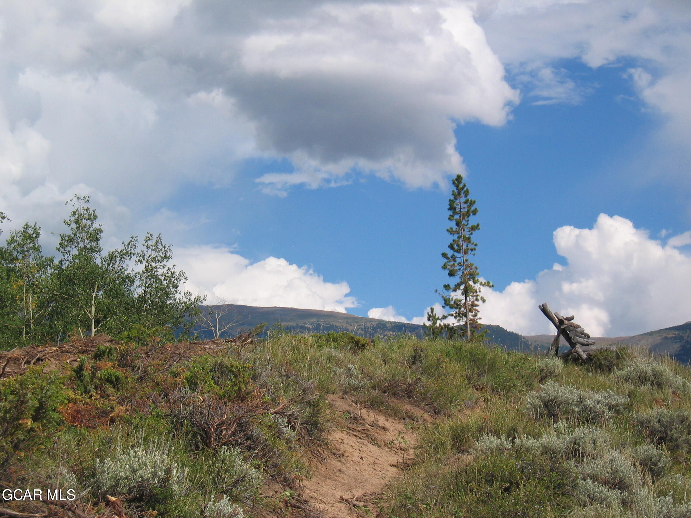 245 Bridger Trace Fraser CO 80442