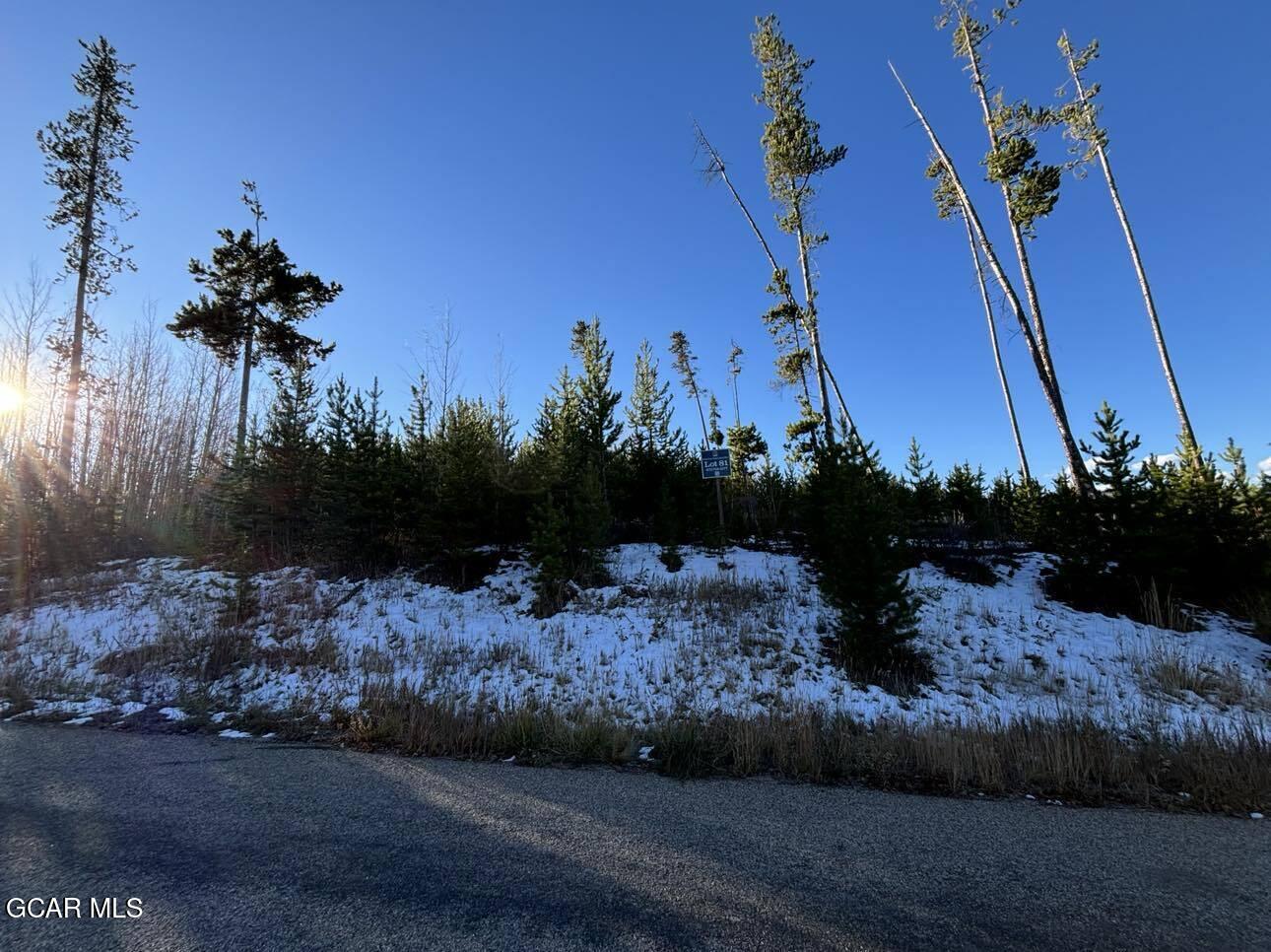 245 Bridger Trace Fraser CO 80442