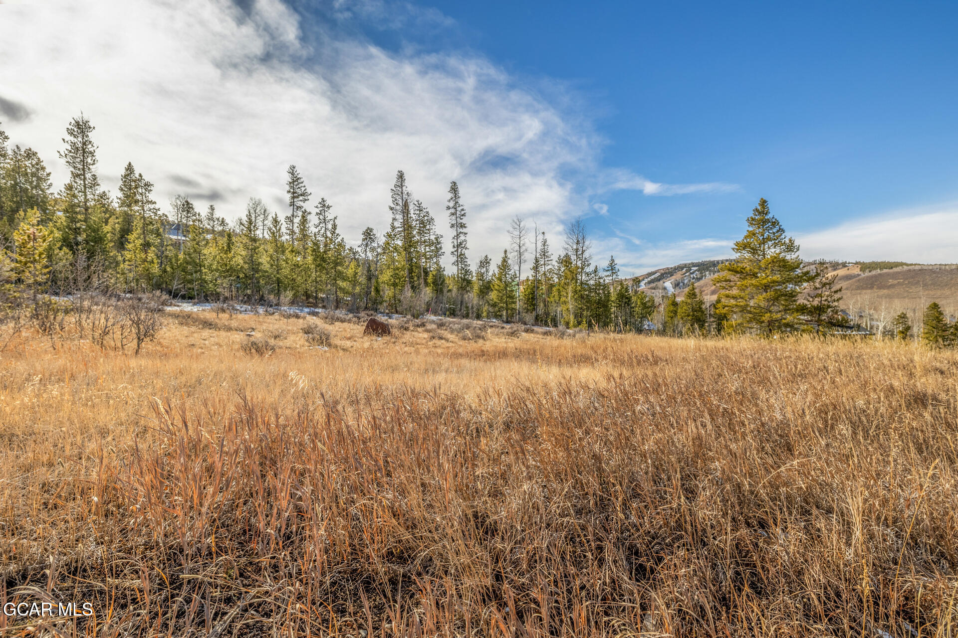 490 Cumulus Road Granby CO 80446