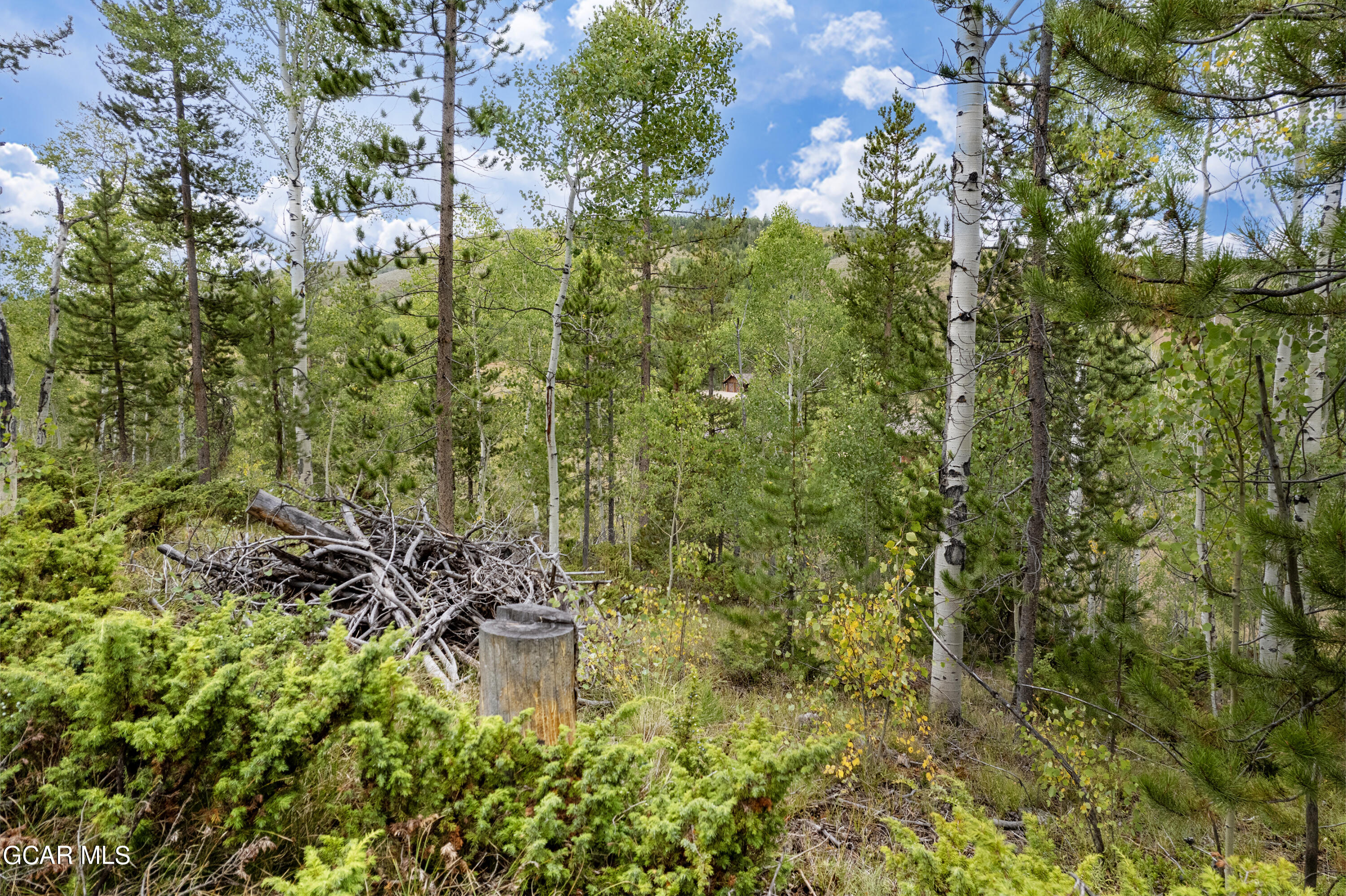 2975 GCR 88 Aka Val Moritz Drive Granby CO 80446