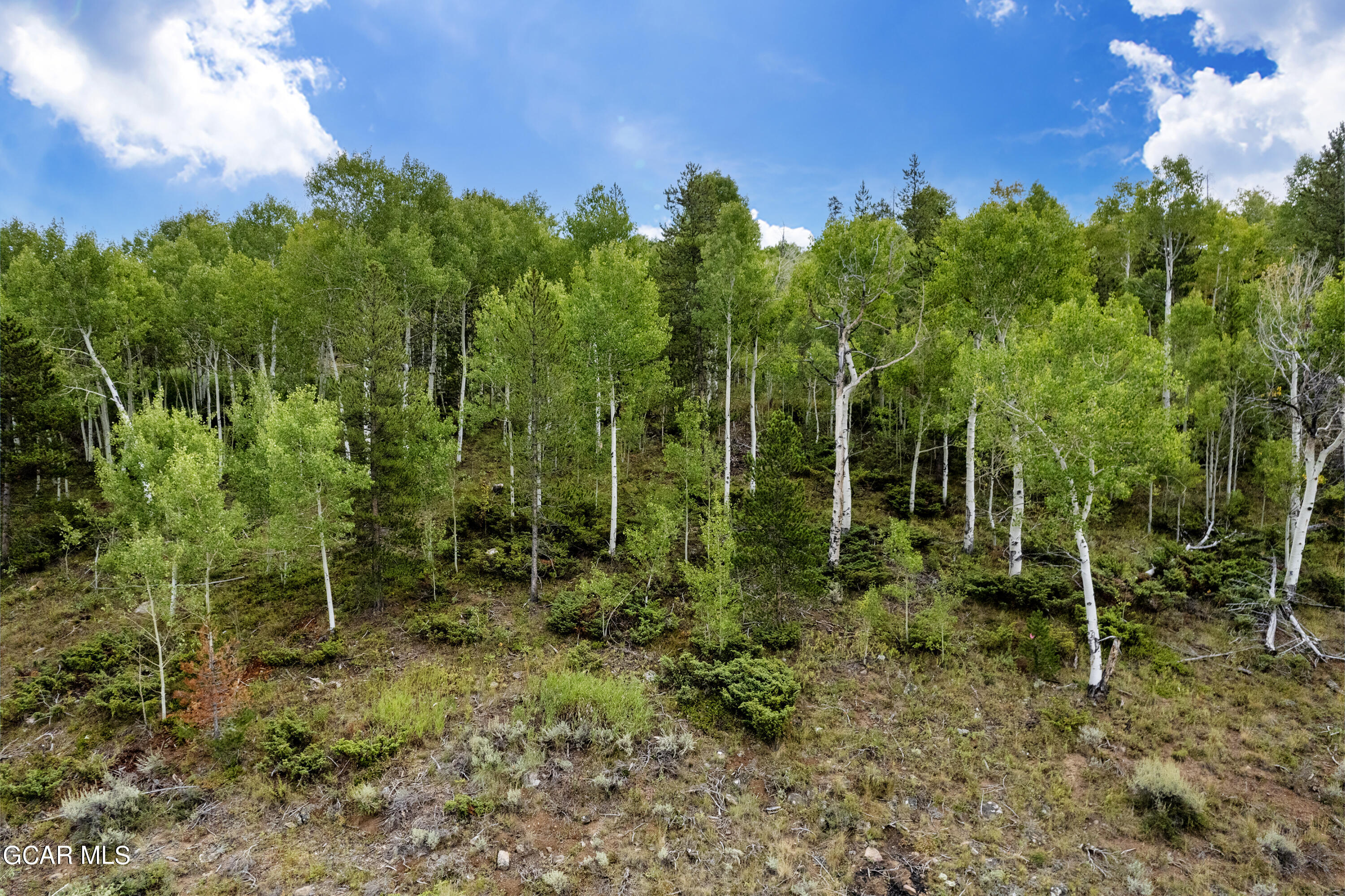 2975 GCR 88 Aka Val Moritz Drive Granby CO 80446