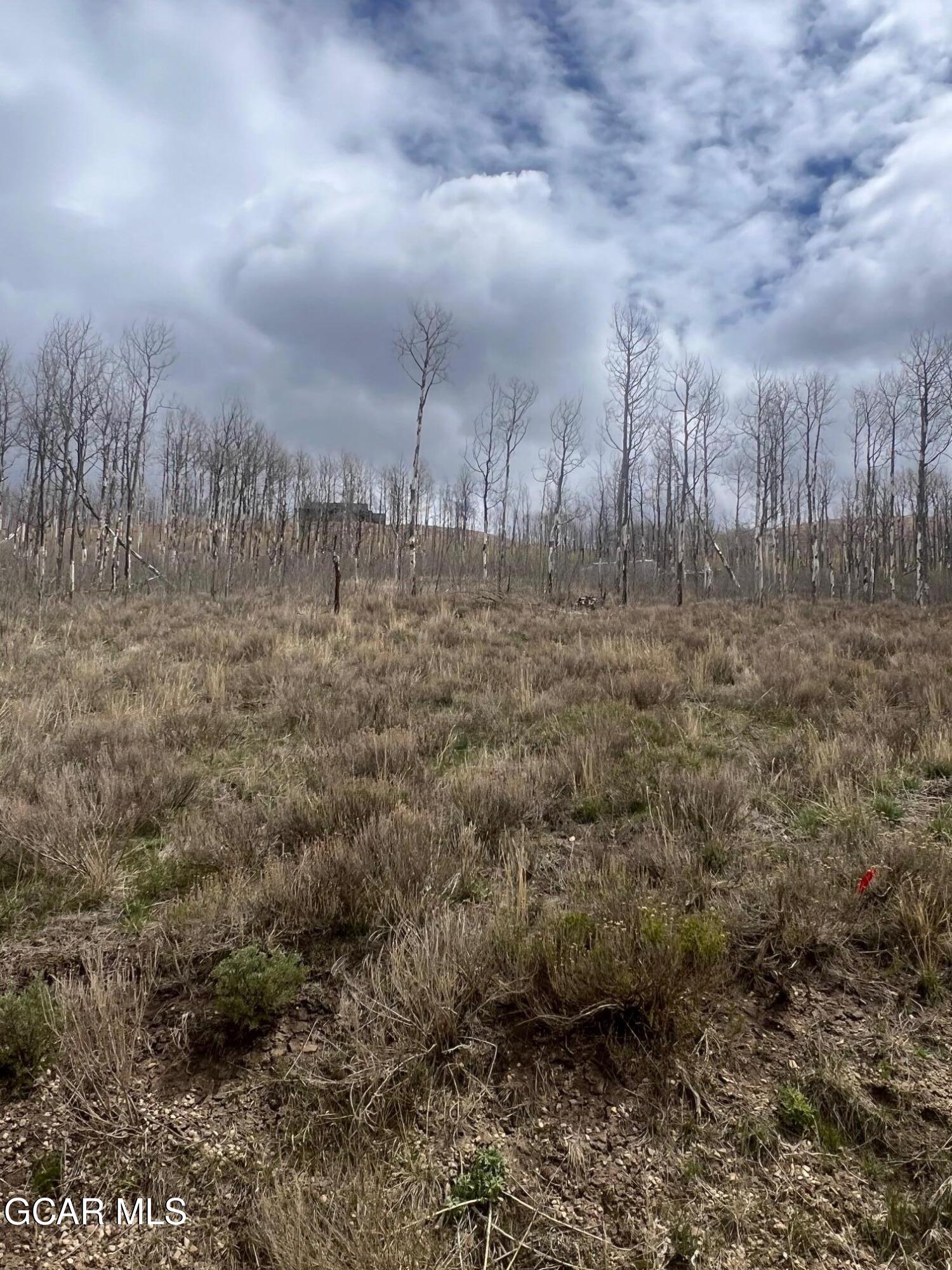 4562 GCR 41 Granby CO 80446