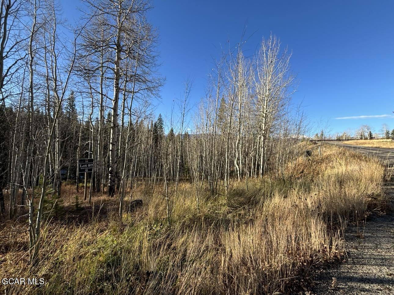 2060 Pioneer Trail Fraser CO 80442