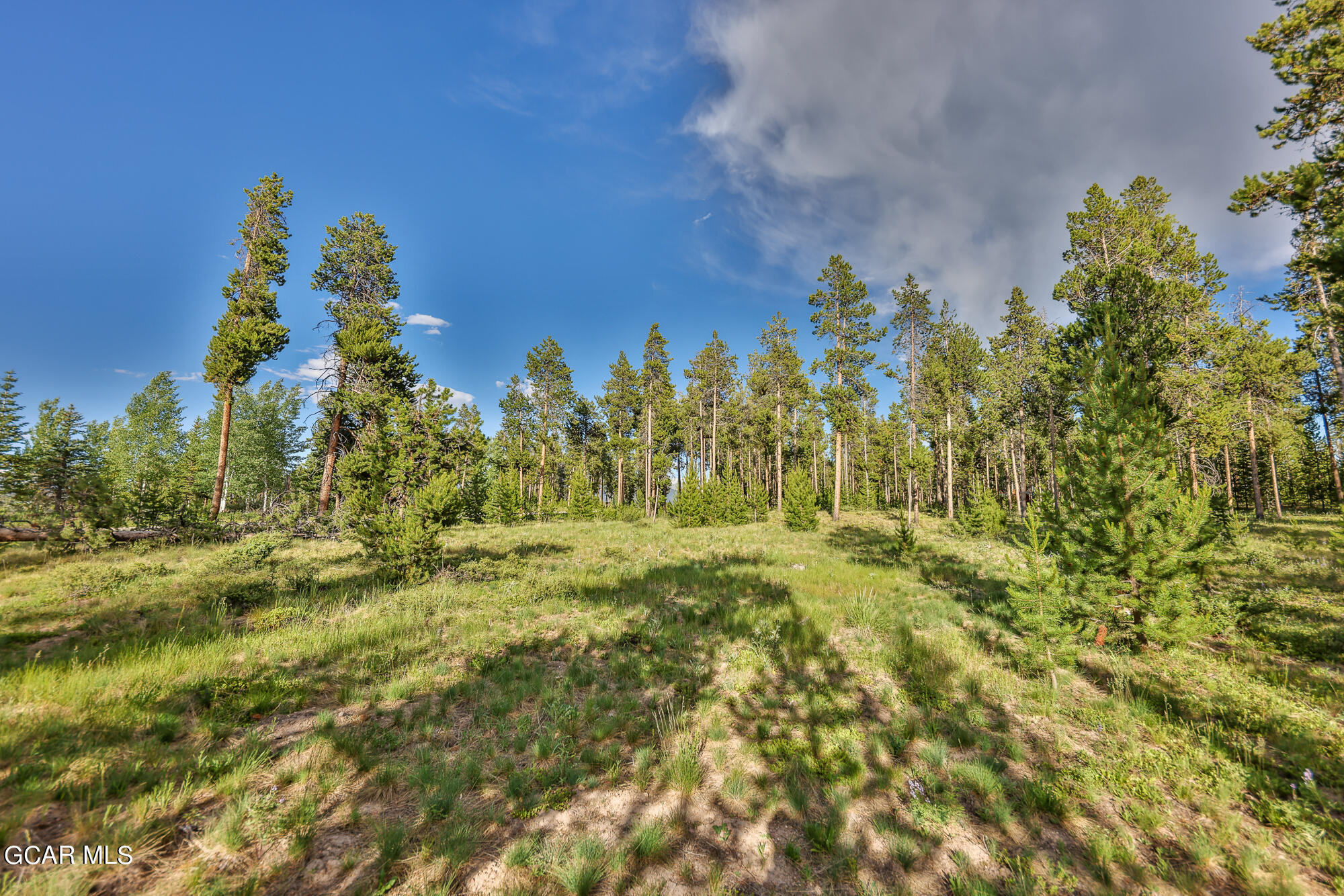 2921 GCR 511 Granby CO 80446