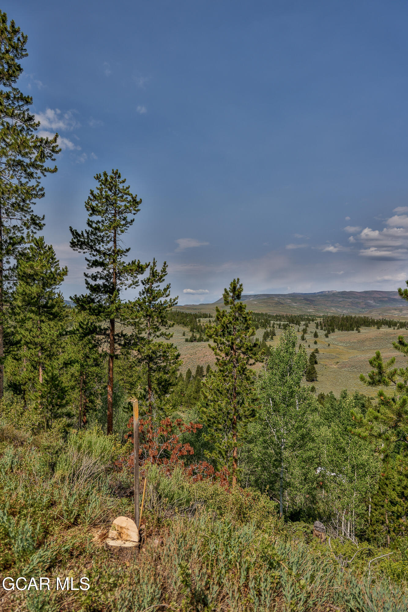 98 & 110 County Road 6322 Granby CO 80446