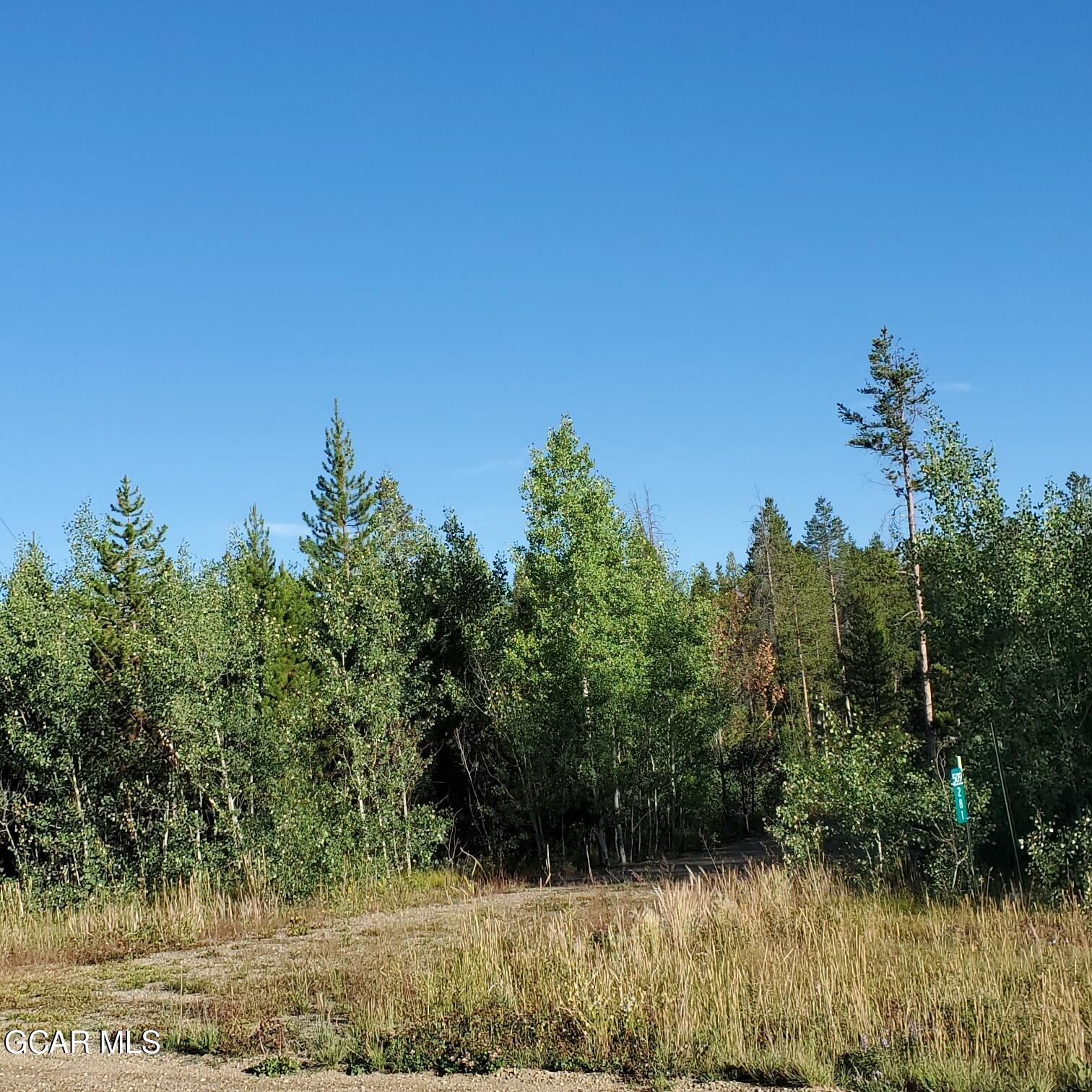 281 GCR 509 Fraser CO 80442