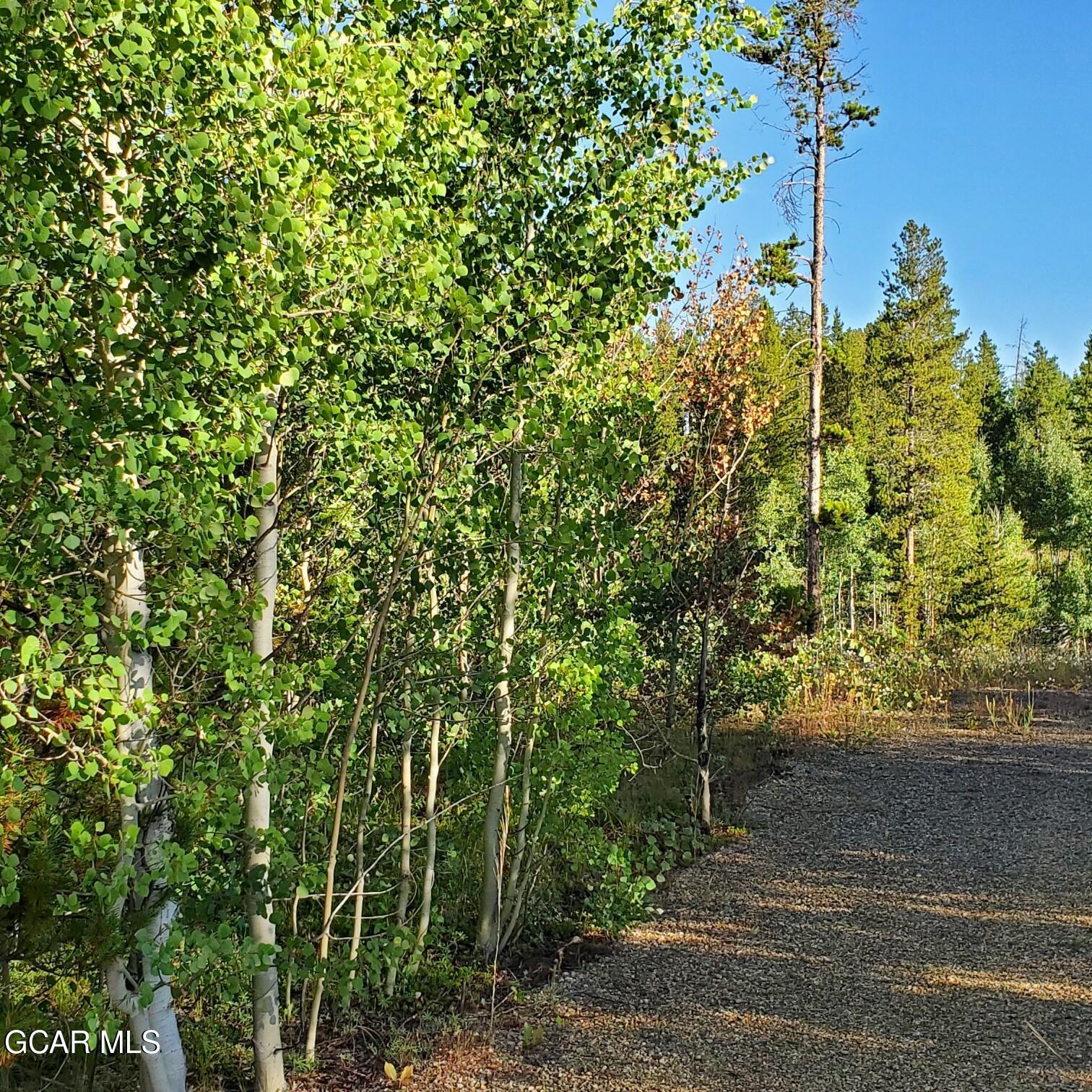 281 GCR 509 Fraser CO 80442