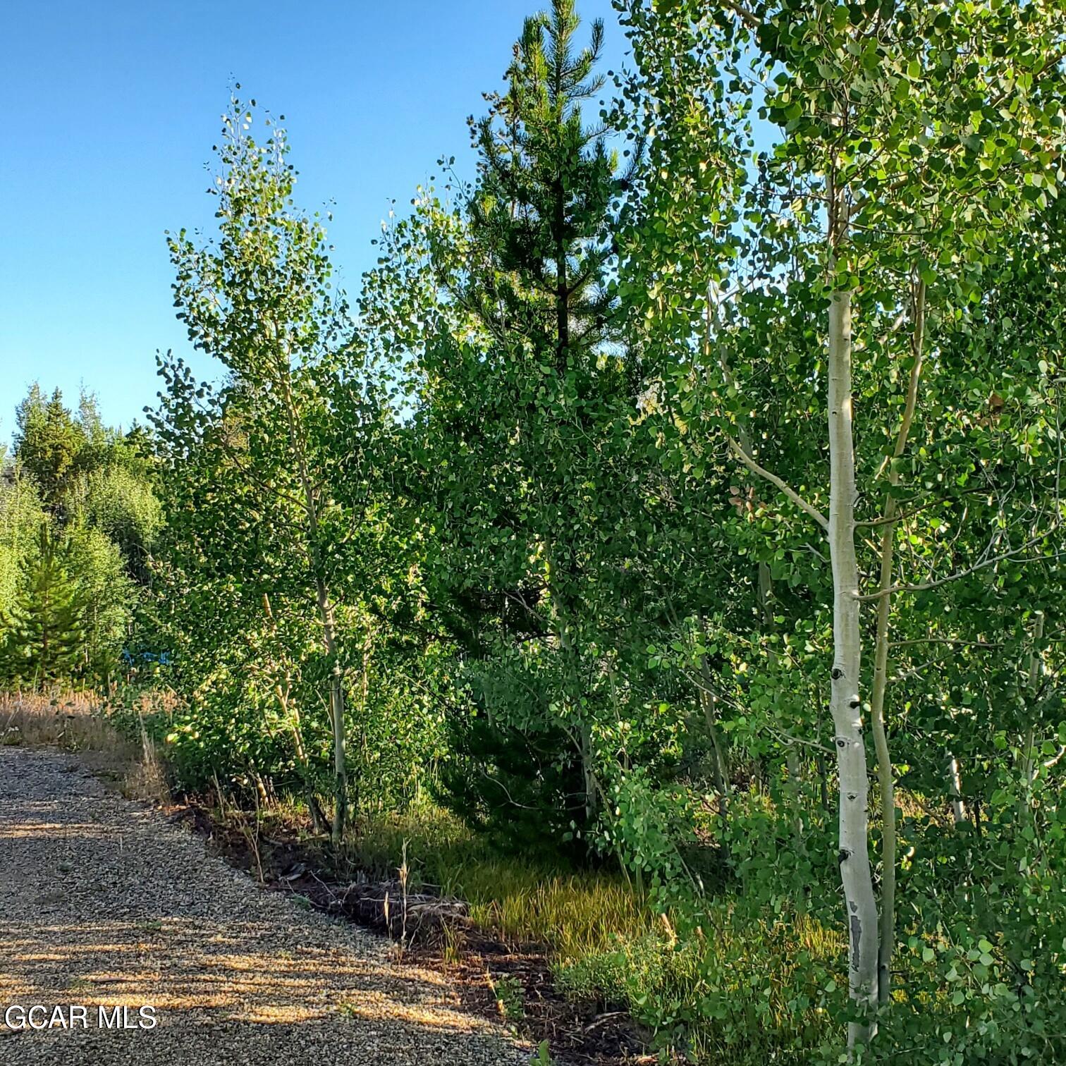 281 GCR 509 Fraser CO 80442