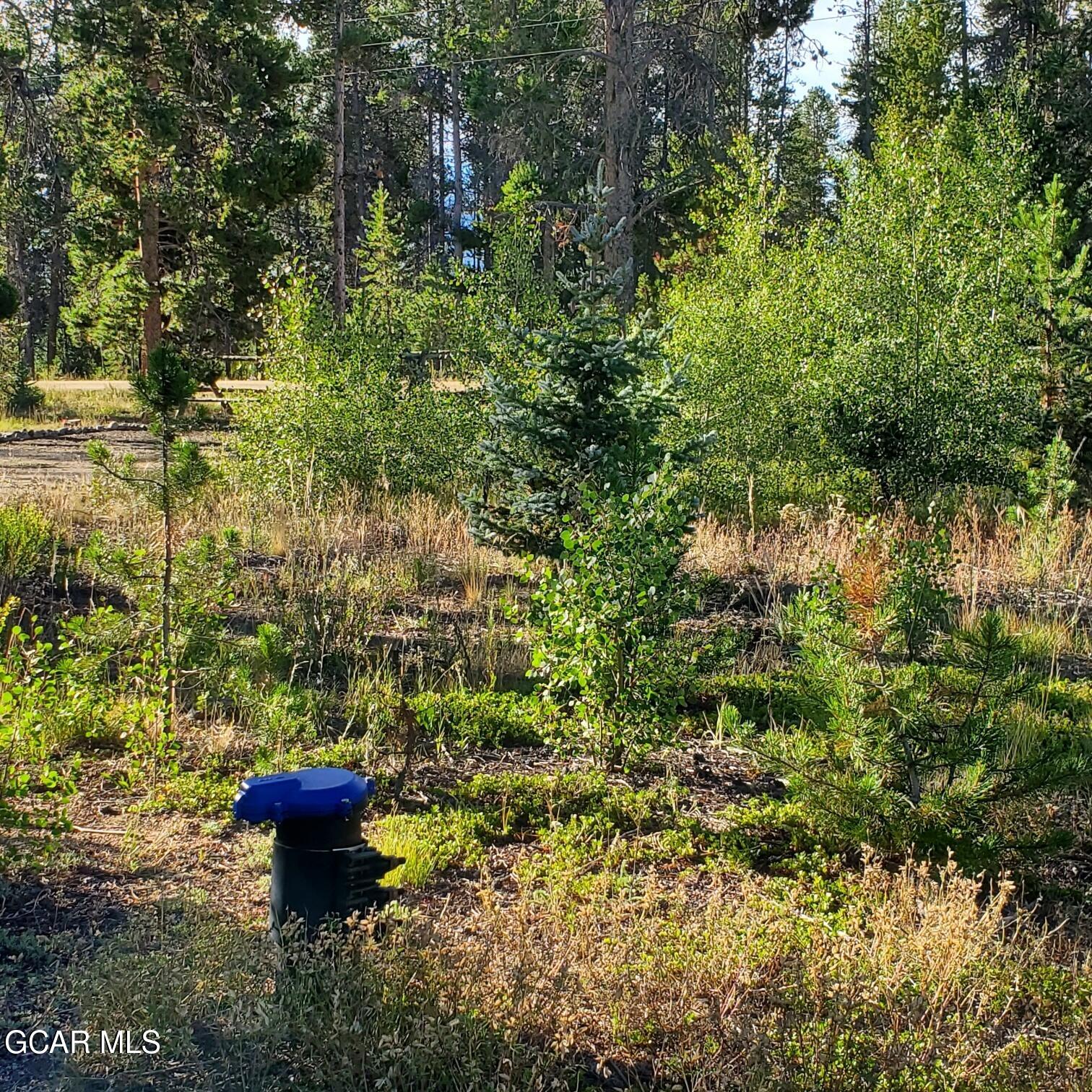 281 GCR 509 Fraser CO 80442